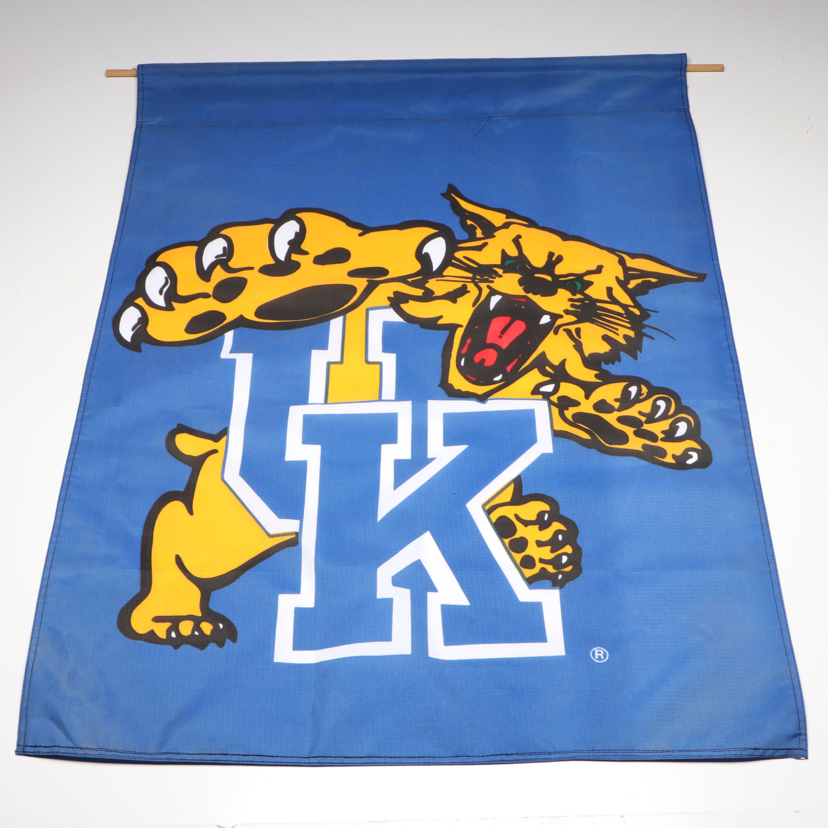 Kentucky Wildcat Error Print Tongue Banner with Felt Sign and Pennant