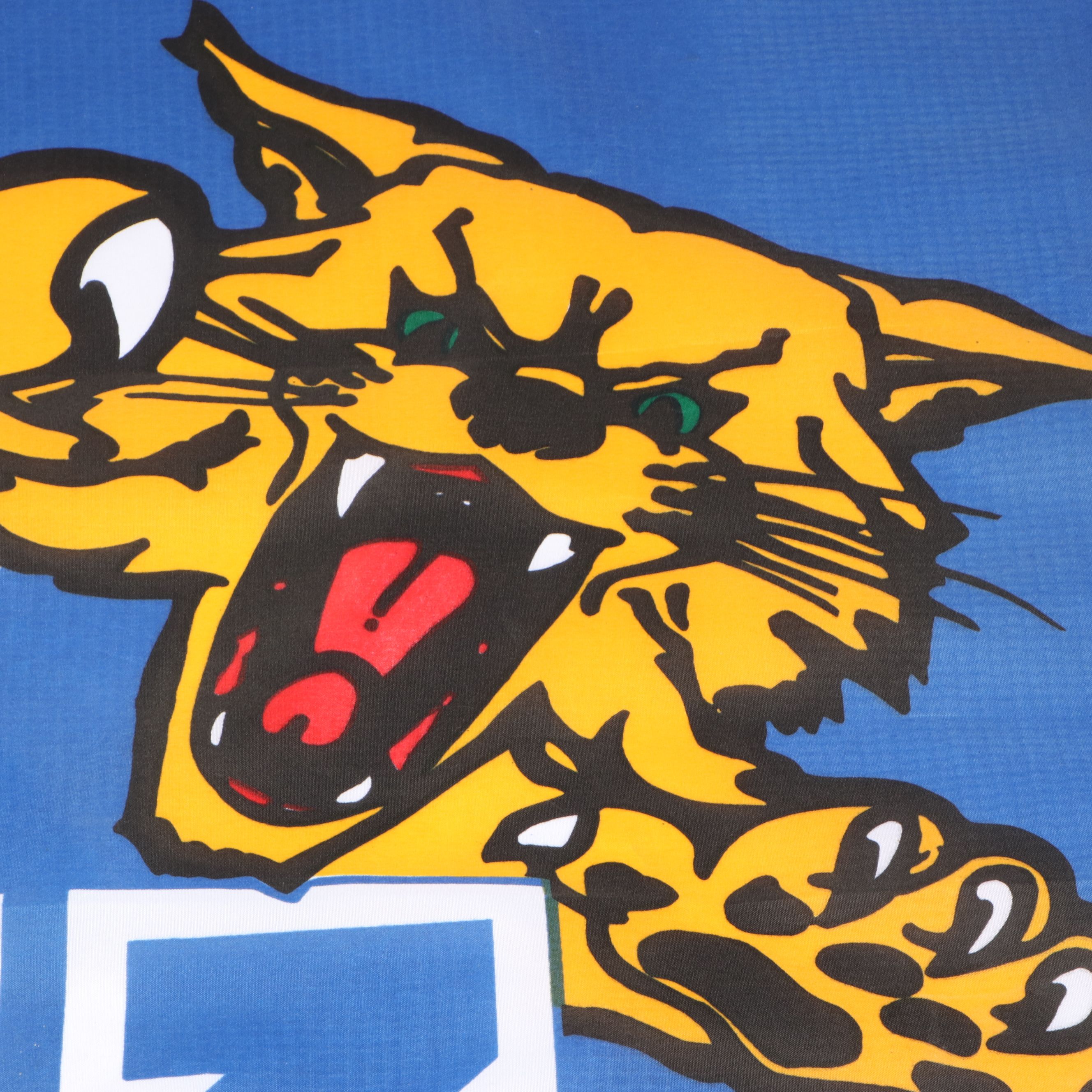 Kentucky Wildcat Error Print Tongue Banner with Felt Sign and Pennant