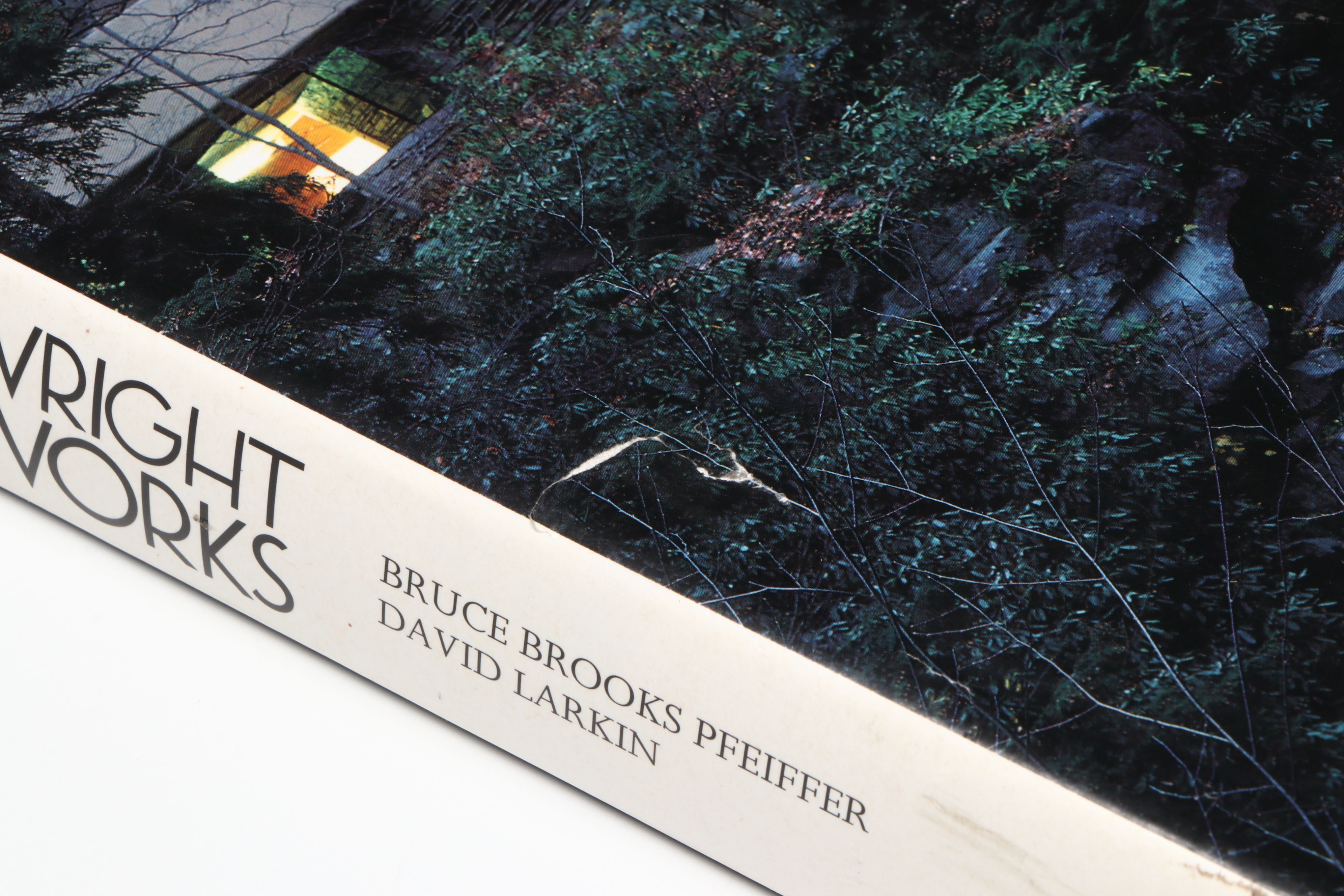 First Edition "Frank Lloyd Wright: The Masterworks" by Pfeiffer and Larkin, 1993