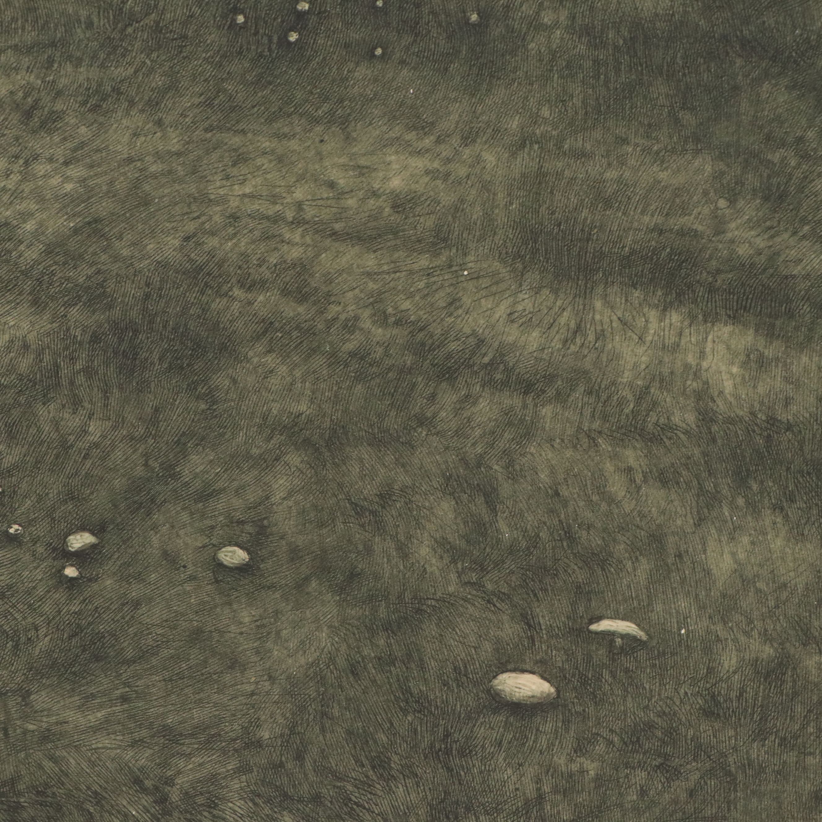 Robert Walker Macbeth Etching on Paper "Mushroom Gatherers," 1877