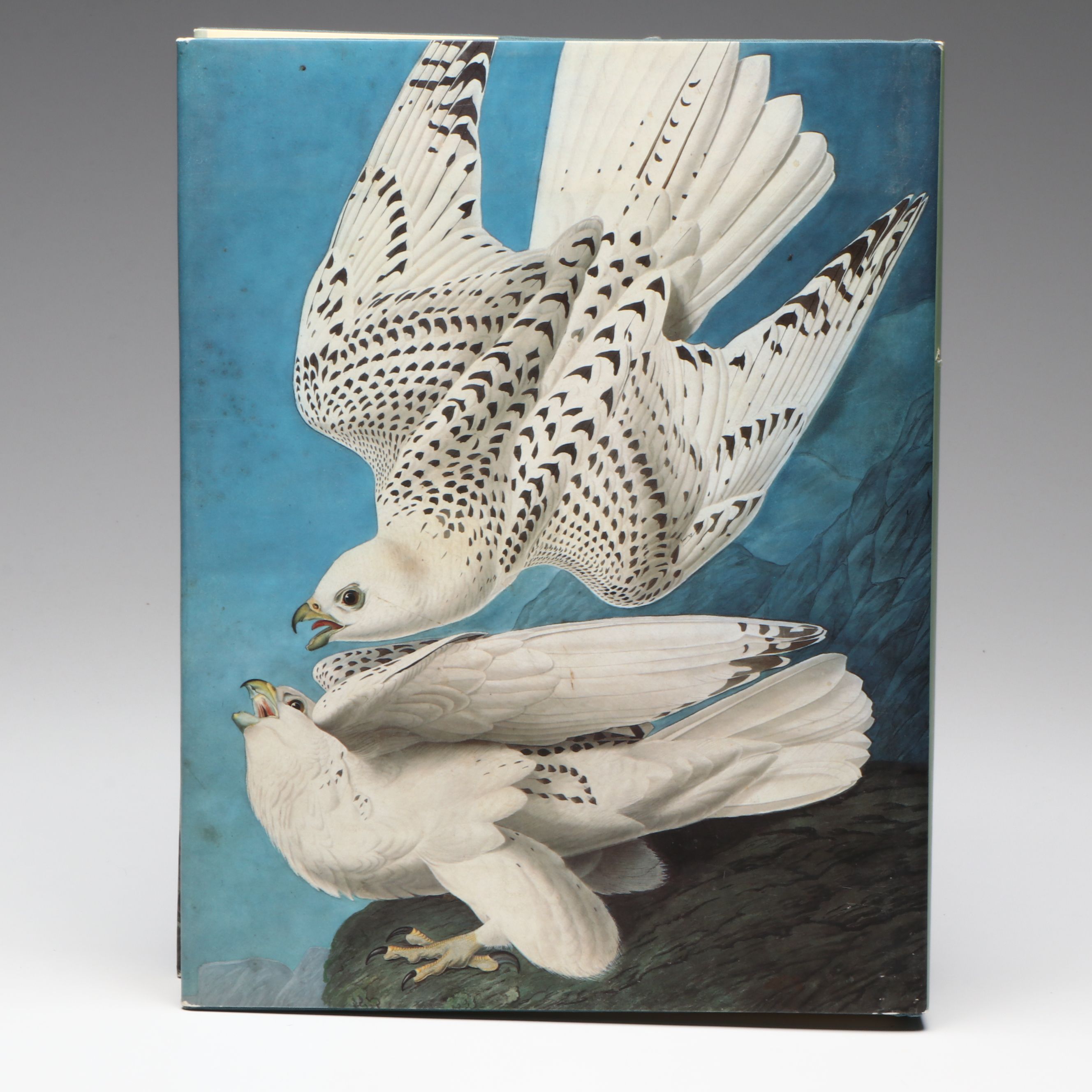 First Printing "John James Audubon: Watercolors for The Birds of America," 1993