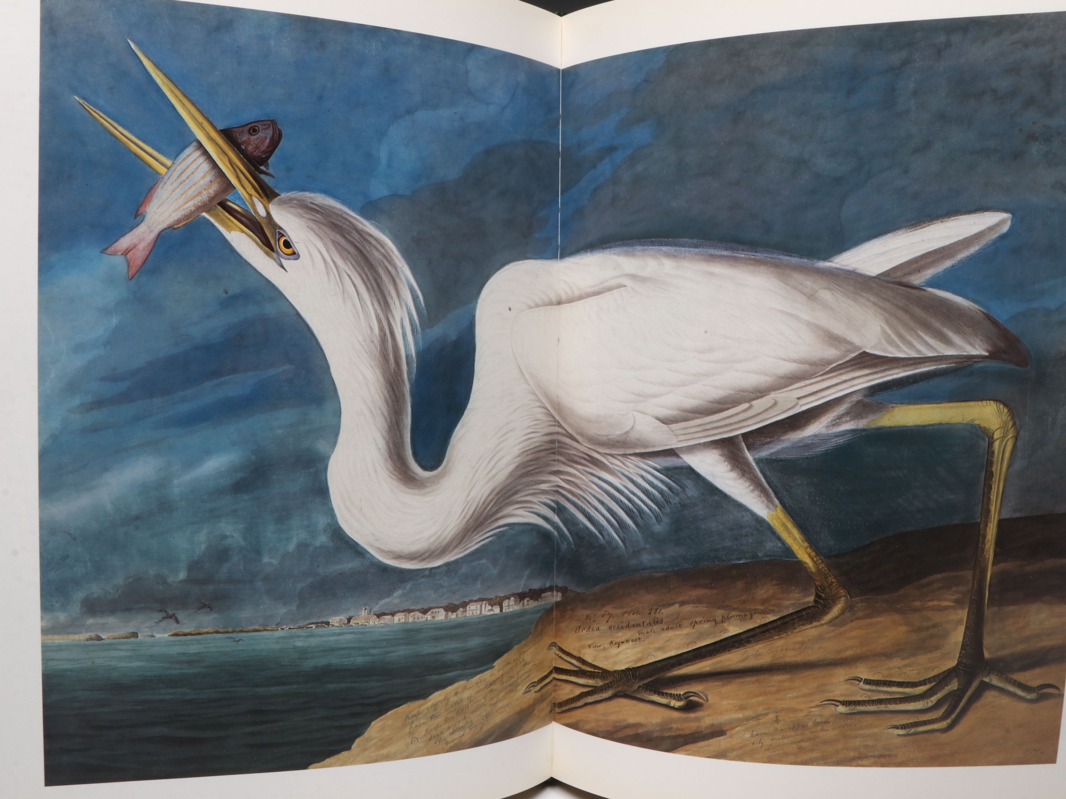 First Printing "John James Audubon: Watercolors for The Birds of America," 1993