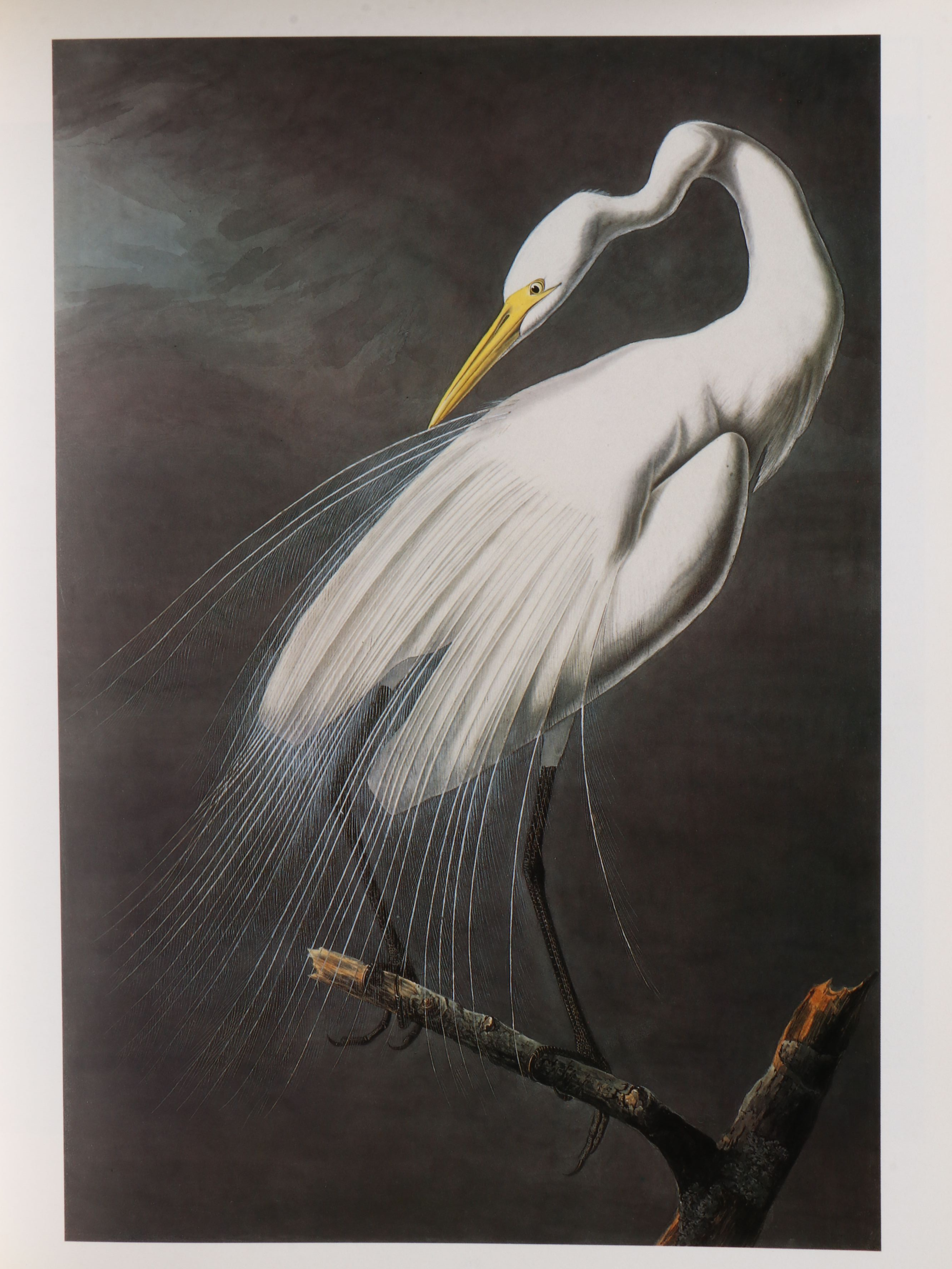 First Printing "John James Audubon: Watercolors for The Birds of America," 1993