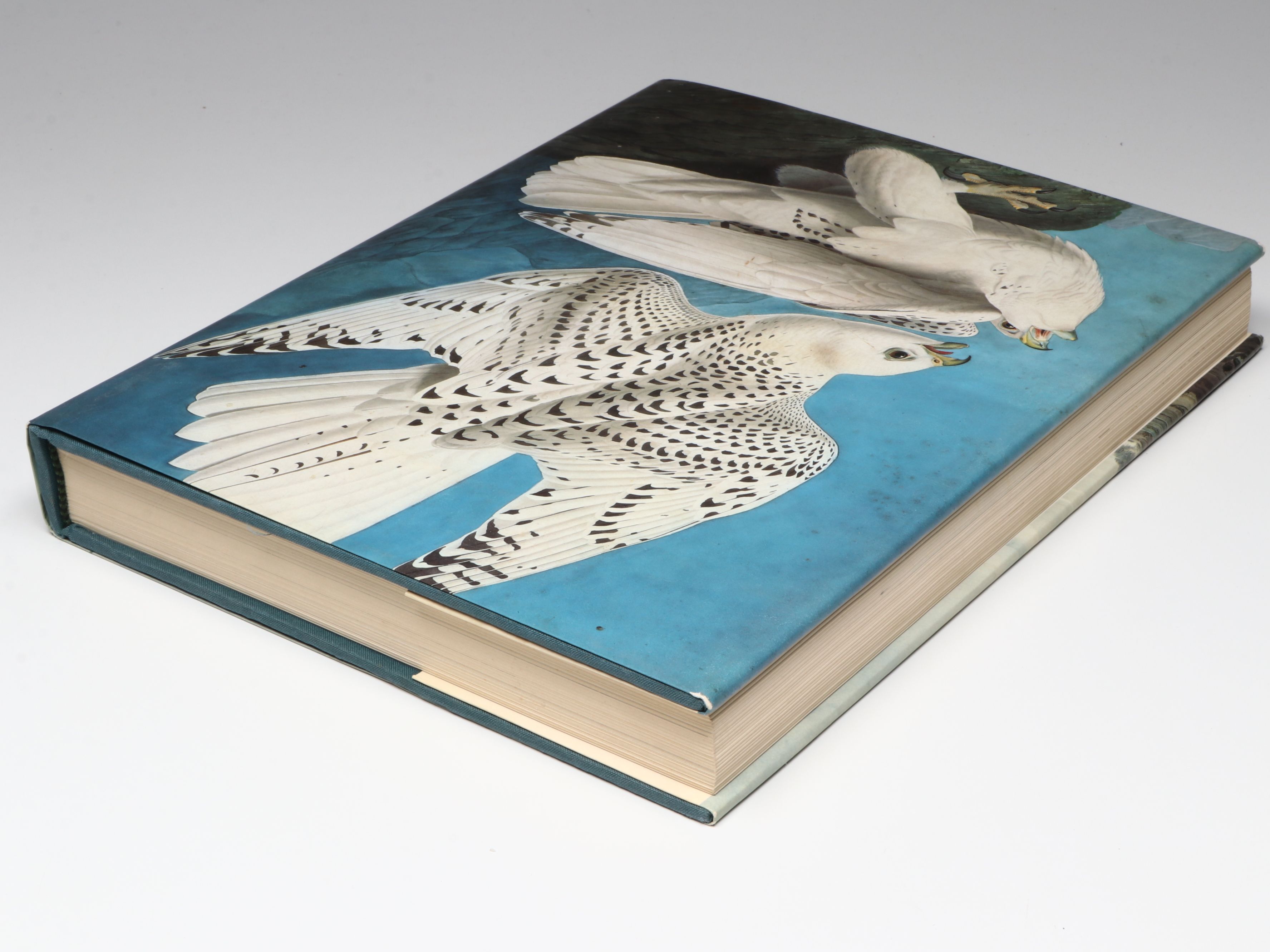 First Printing "John James Audubon: Watercolors for The Birds of America," 1993