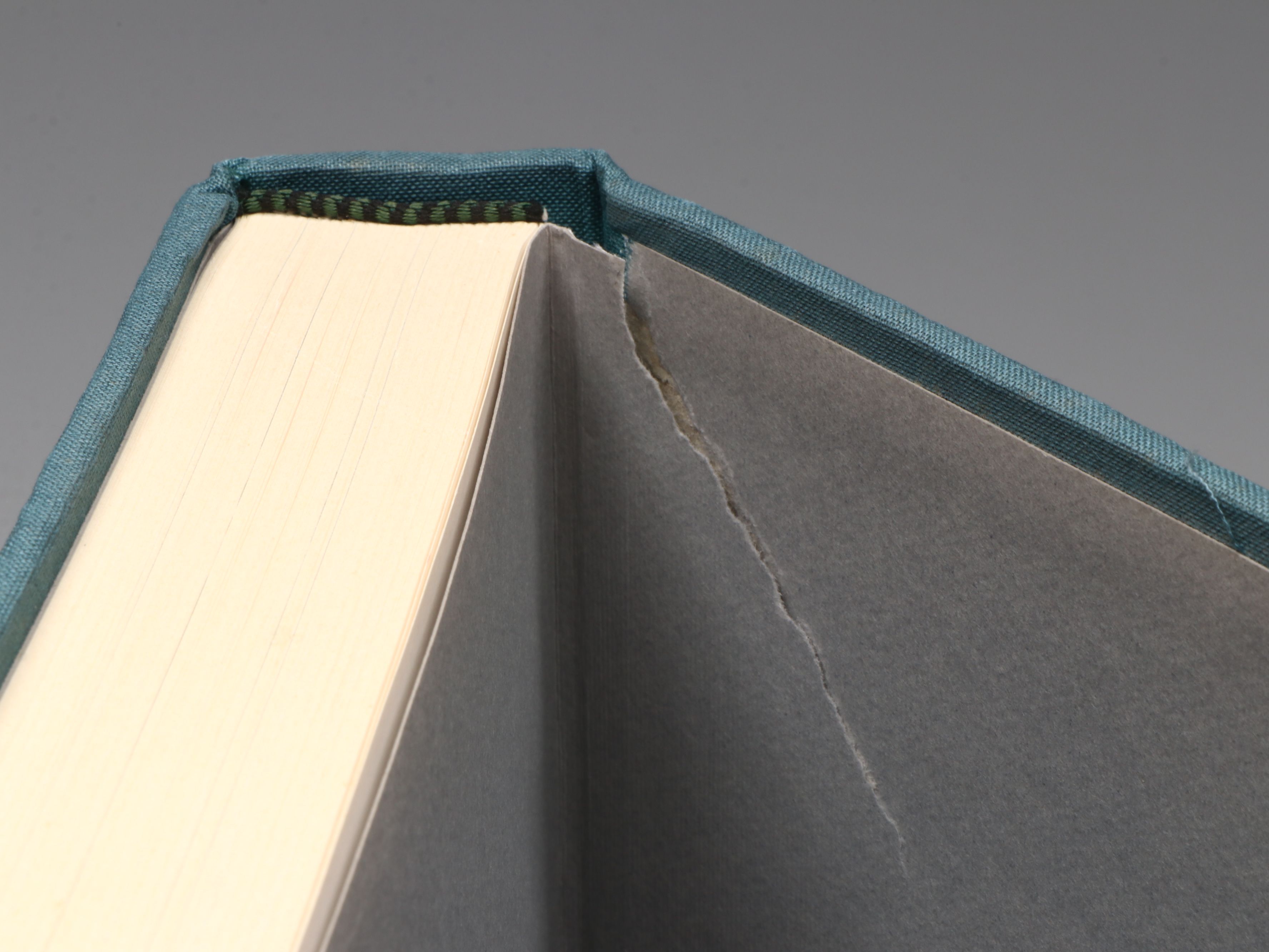 First Printing "John James Audubon: Watercolors for The Birds of America," 1993