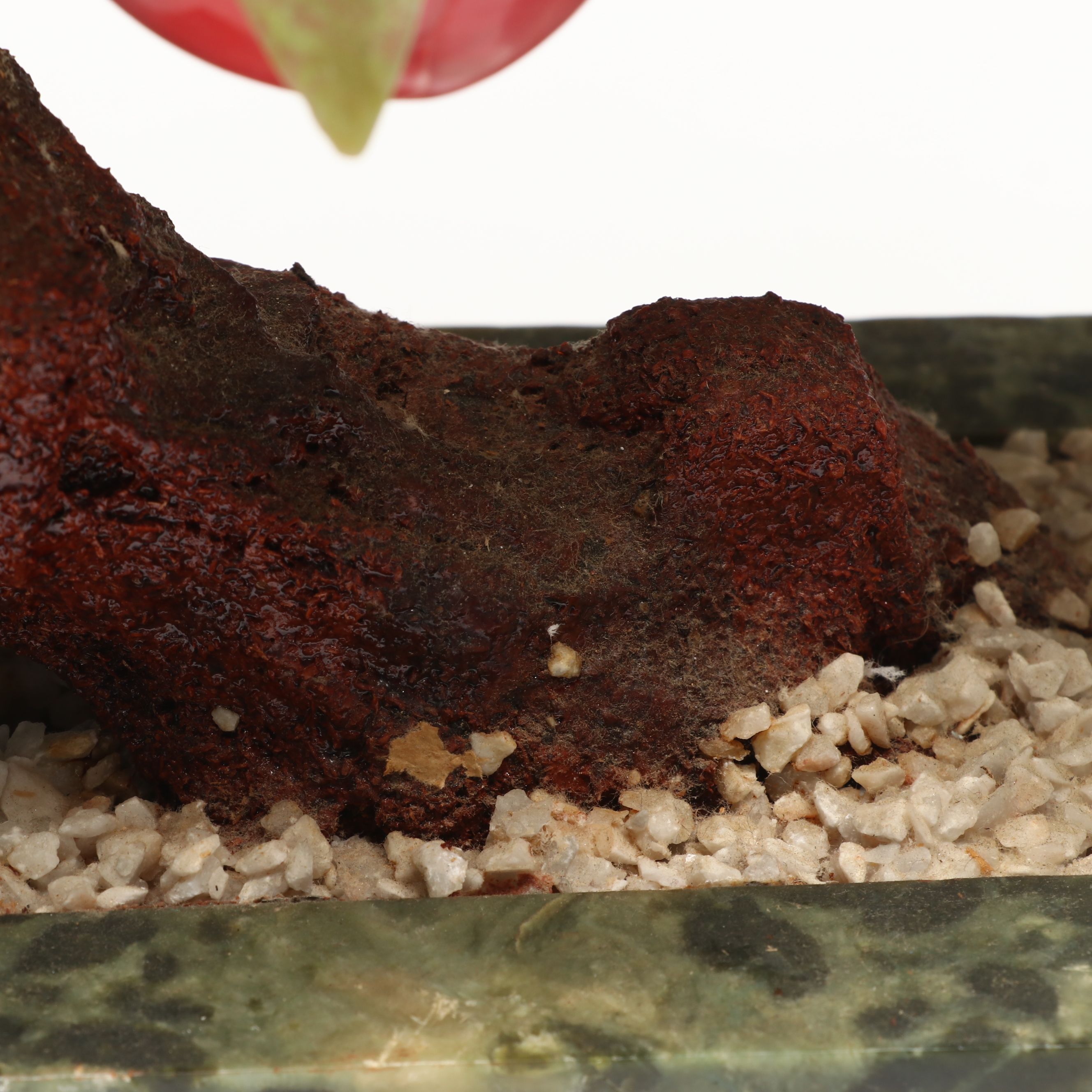 Chinese Glass and Stone Fruiting Peach Tree, Mid to Late 20th Century