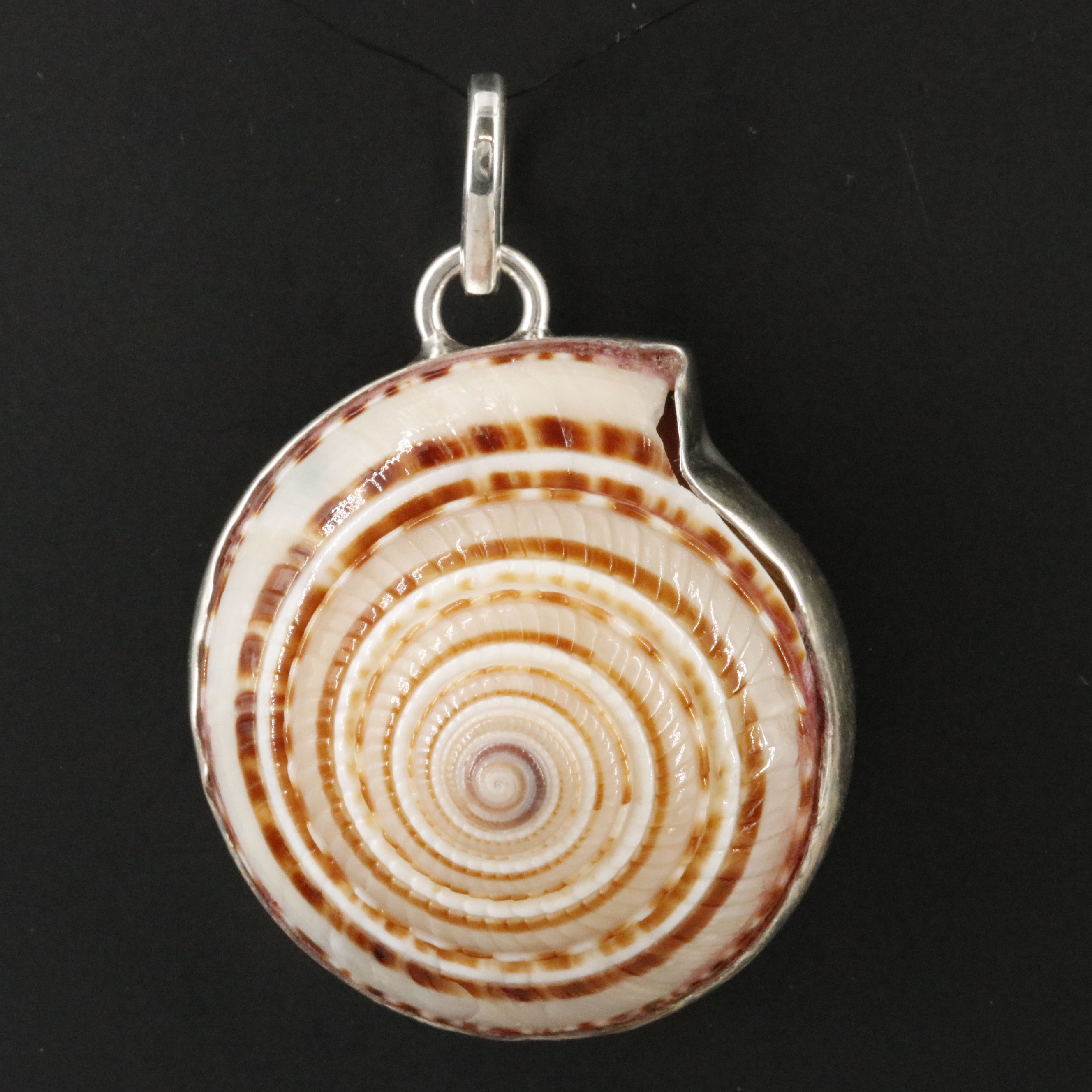 Sterling Shell Pendant