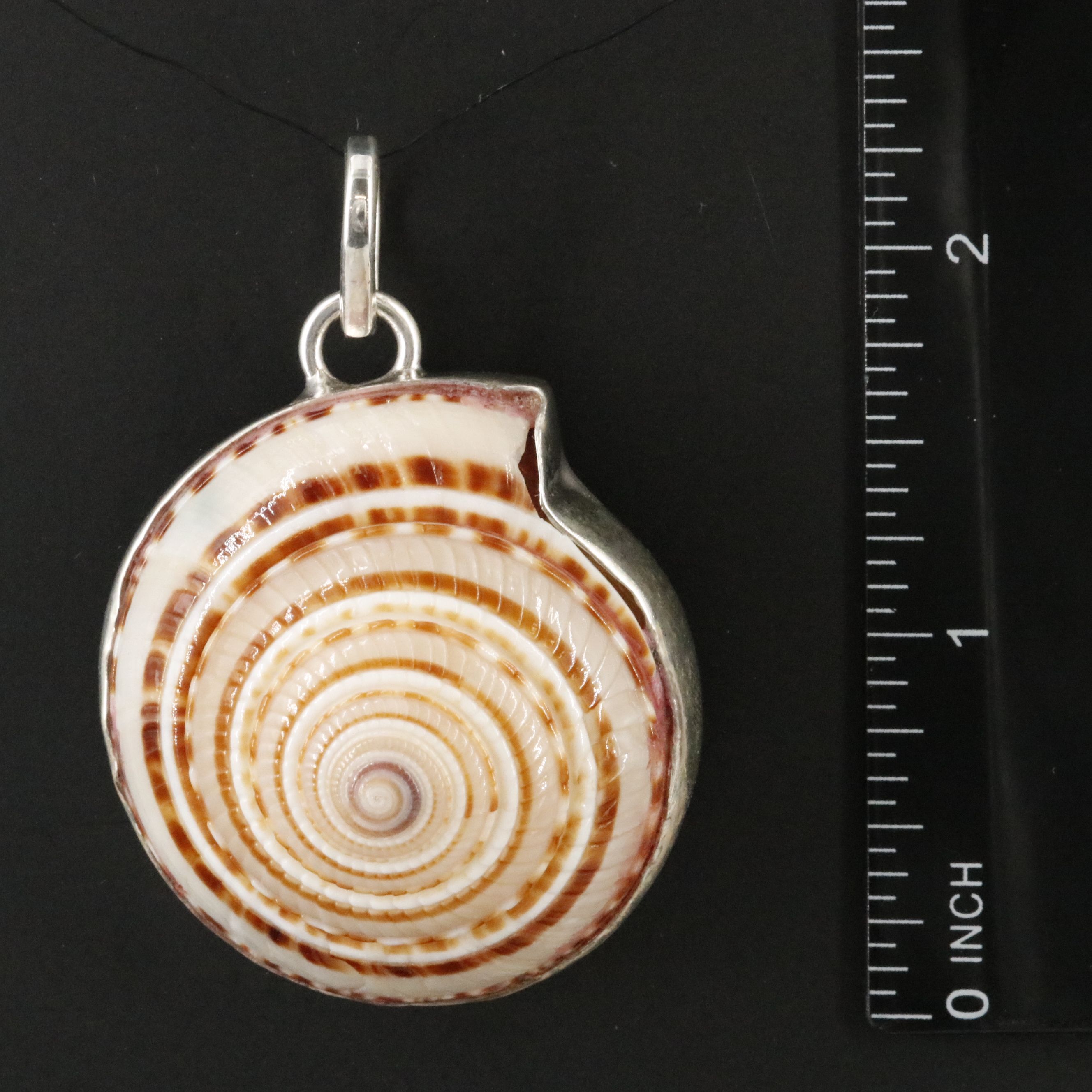 Sterling Shell Pendant