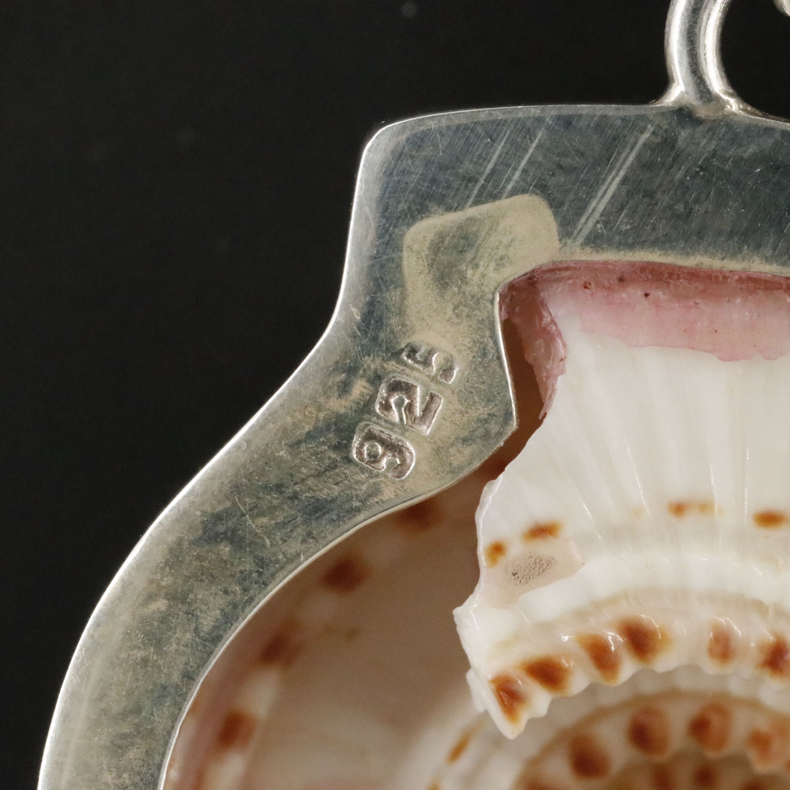 Sterling Shell Pendant