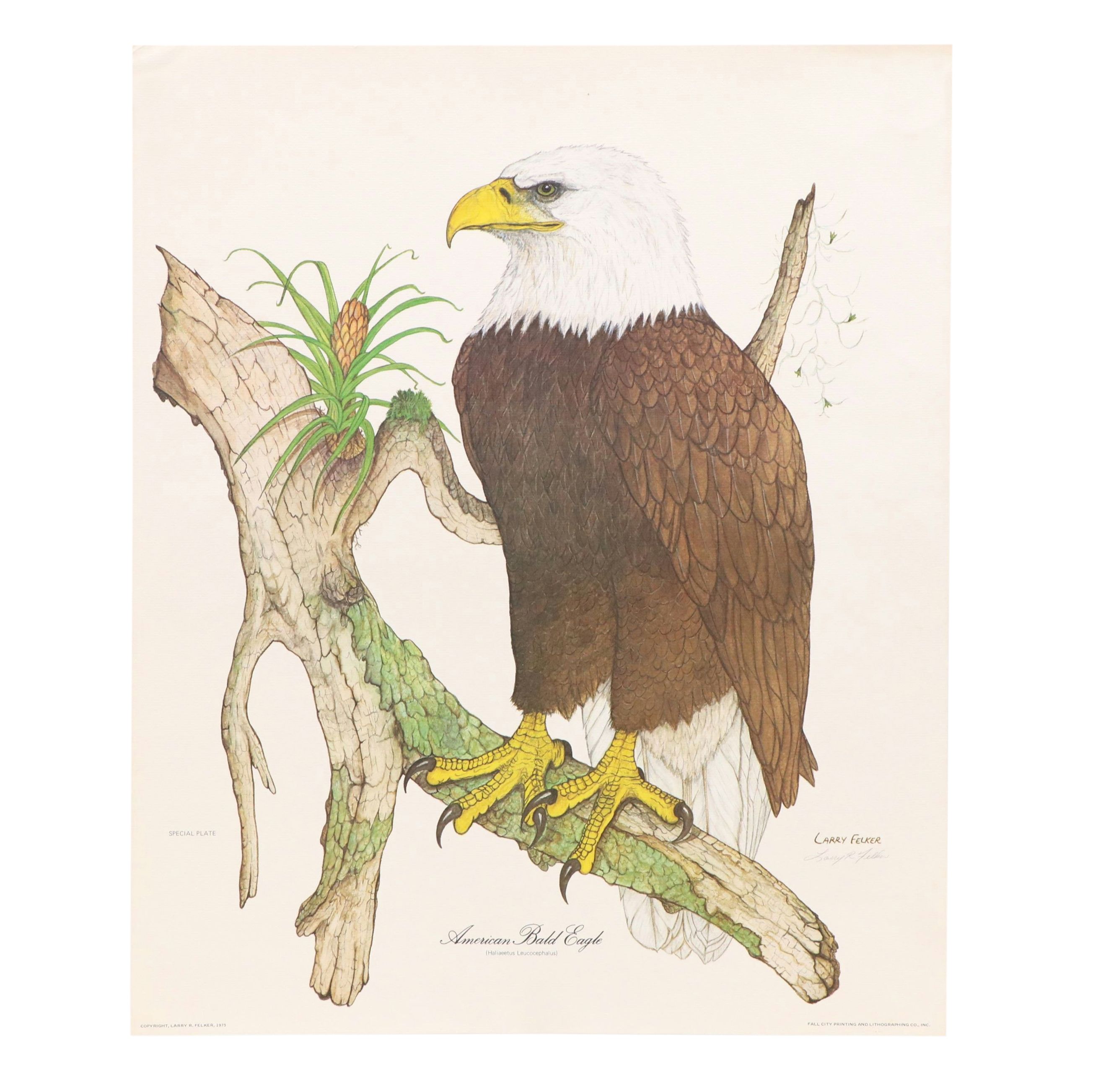 Larry Felker Offset Litho "American Bald Eagle (Haliaeetus Leucocephalus)," 1975