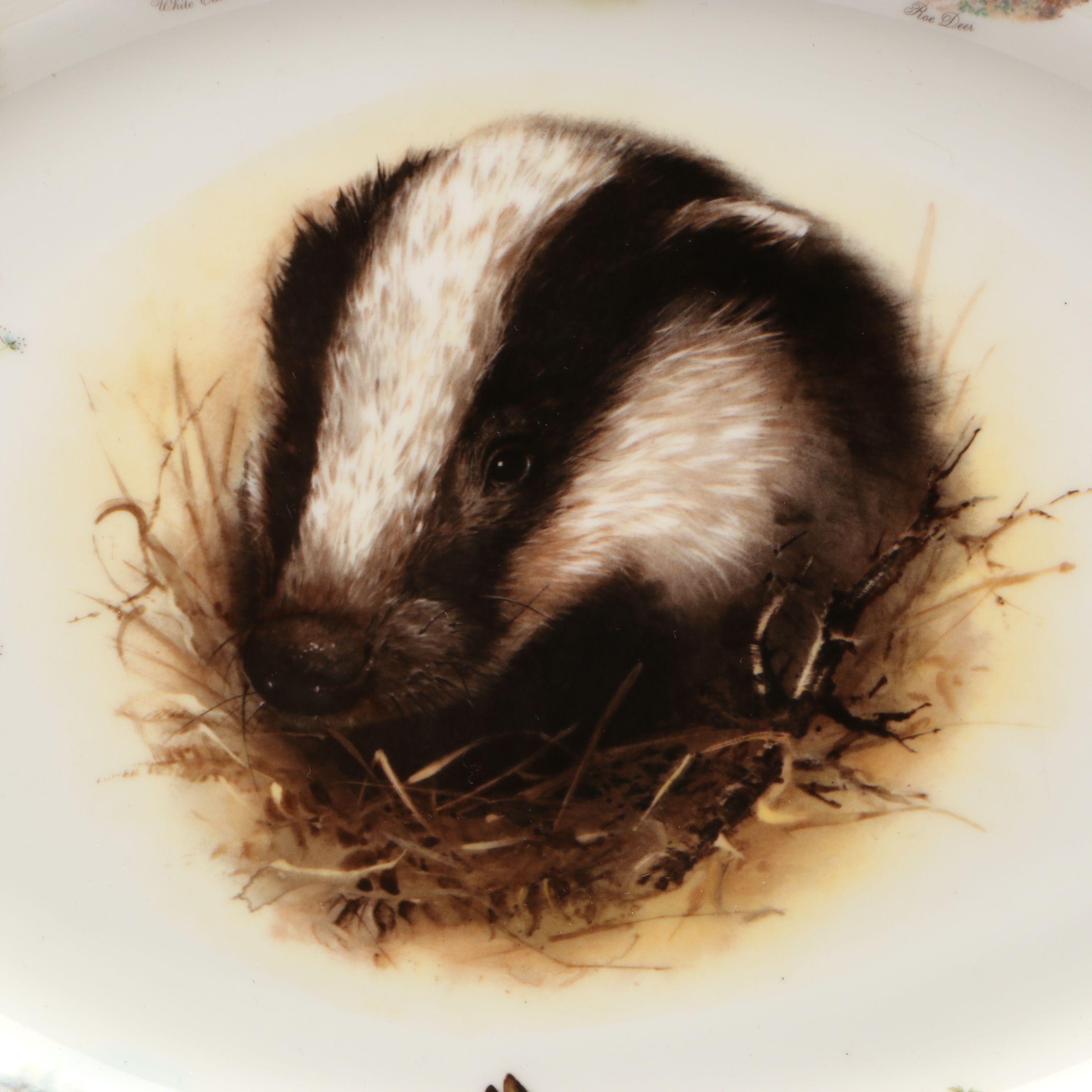 English Bone China Woodland Animal Platter, Late 20th Century