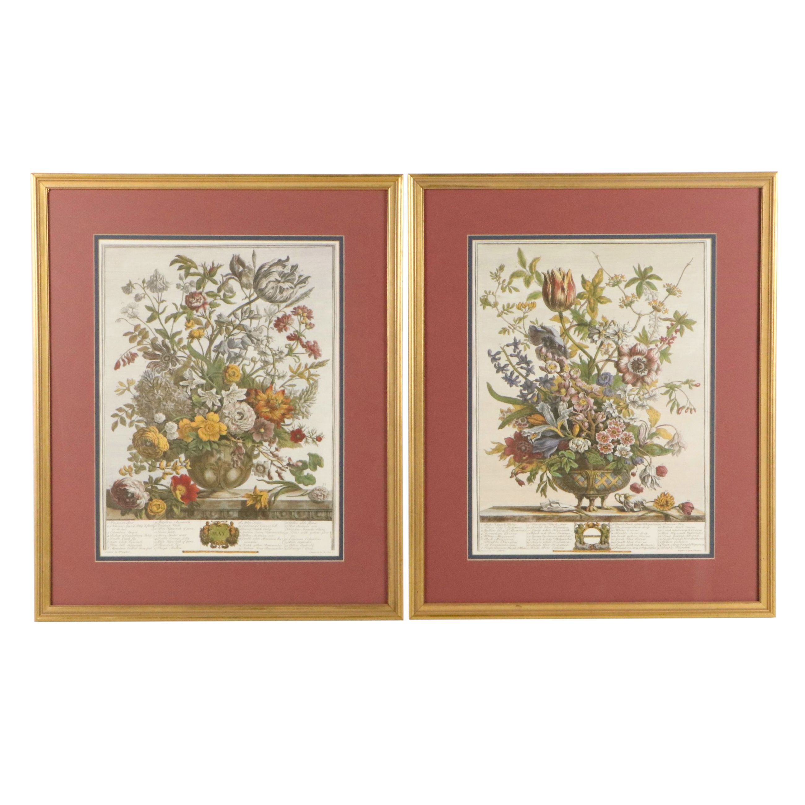 Floral Offset Lithographs After Robert Furber "Twelve Months of Flowers"