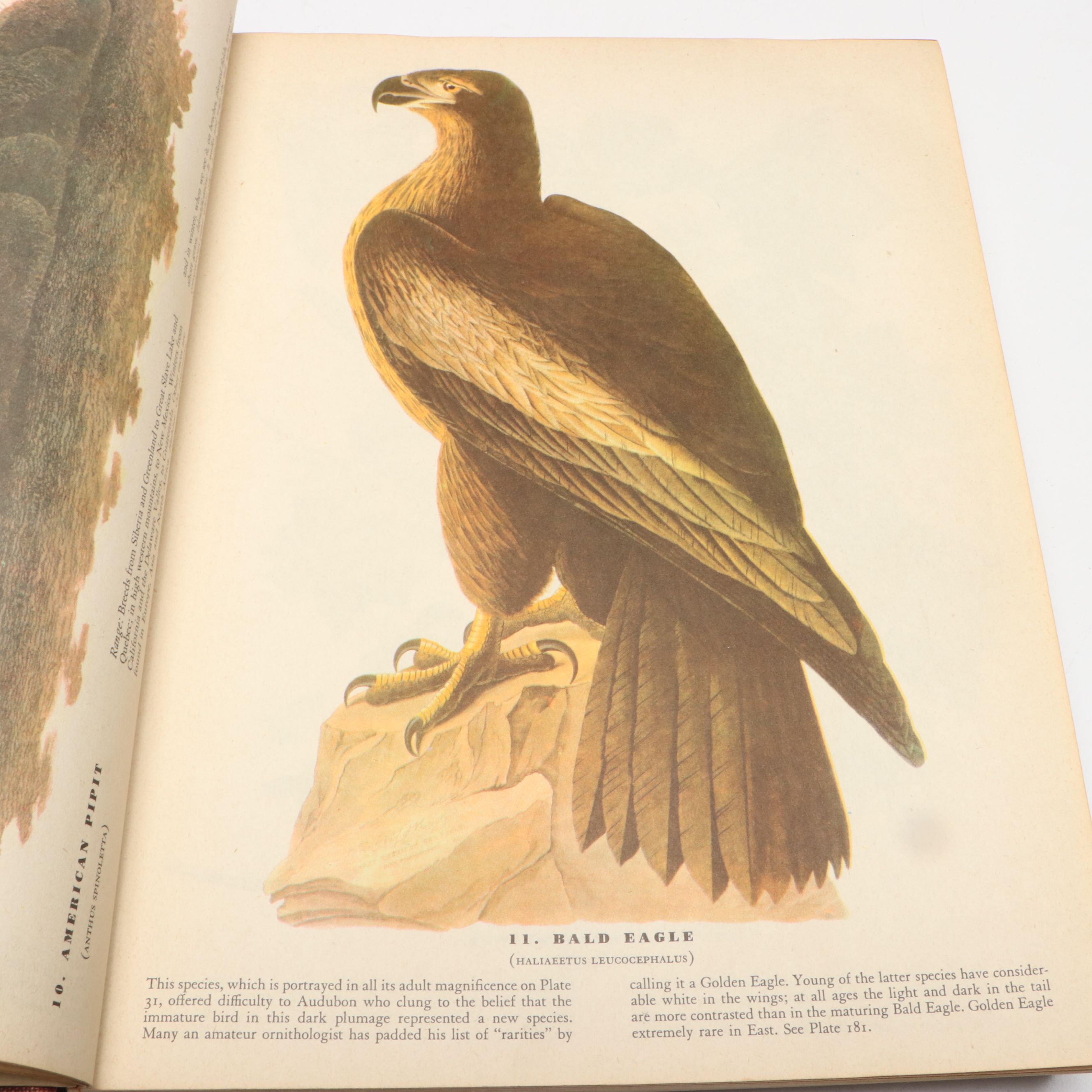 Fifth Printing "The Birds of America" by John James Audubon and More