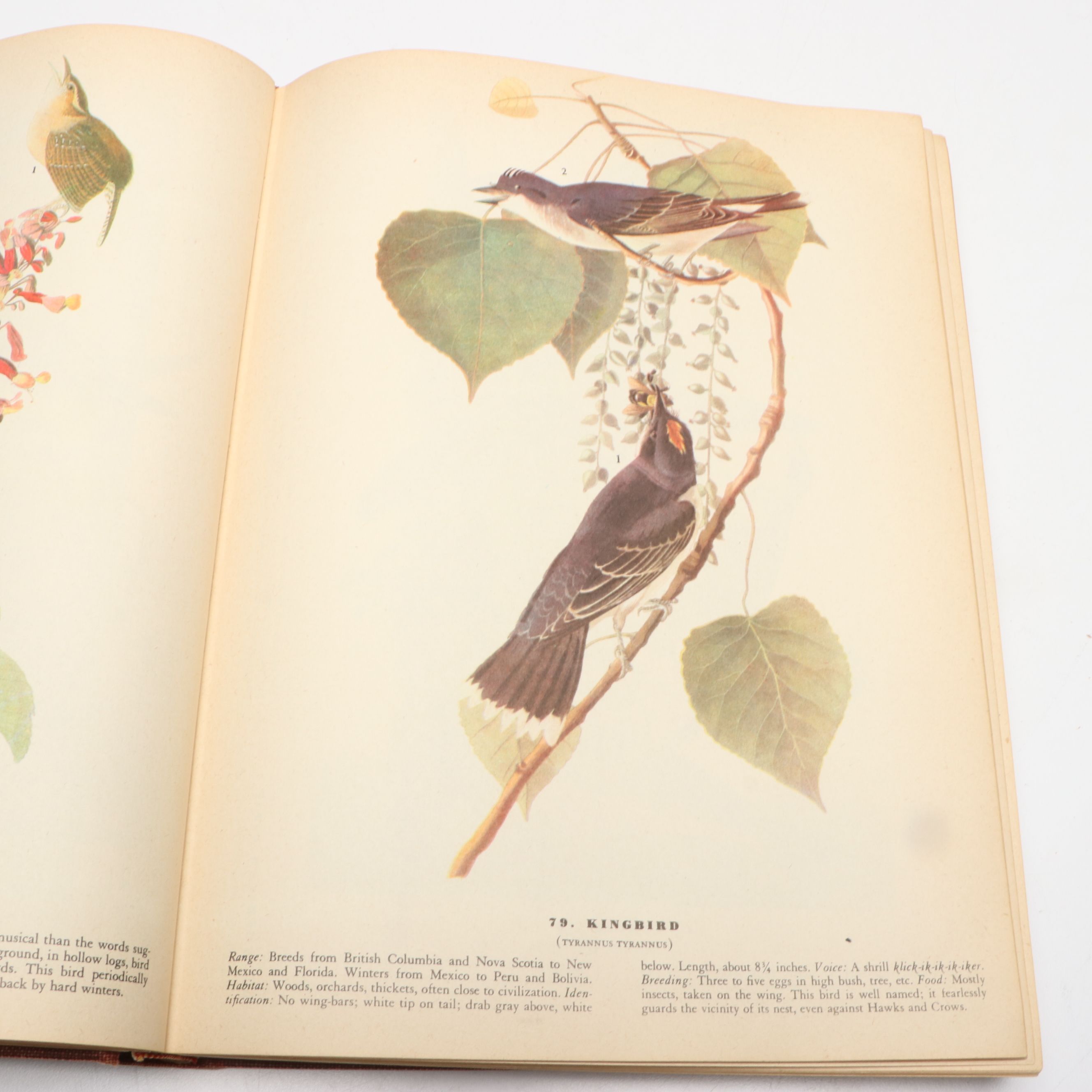Fifth Printing "The Birds of America" by John James Audubon and More