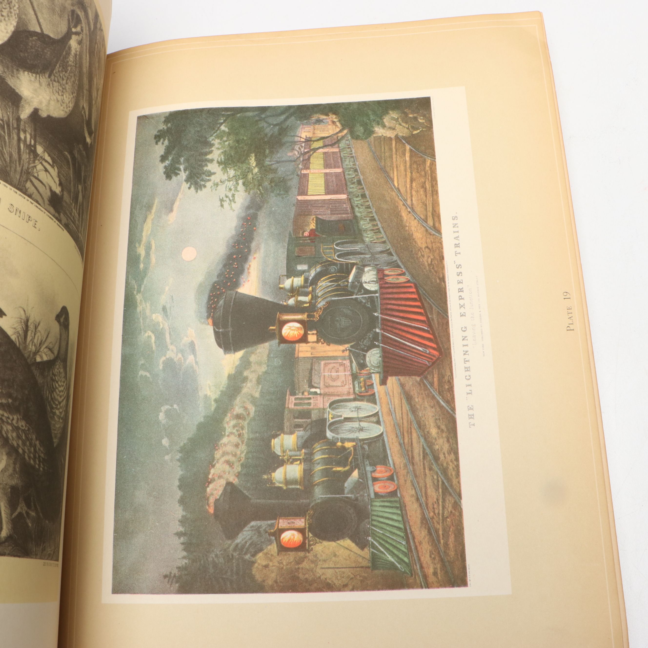 Fifth Printing "The Birds of America" by John James Audubon and More