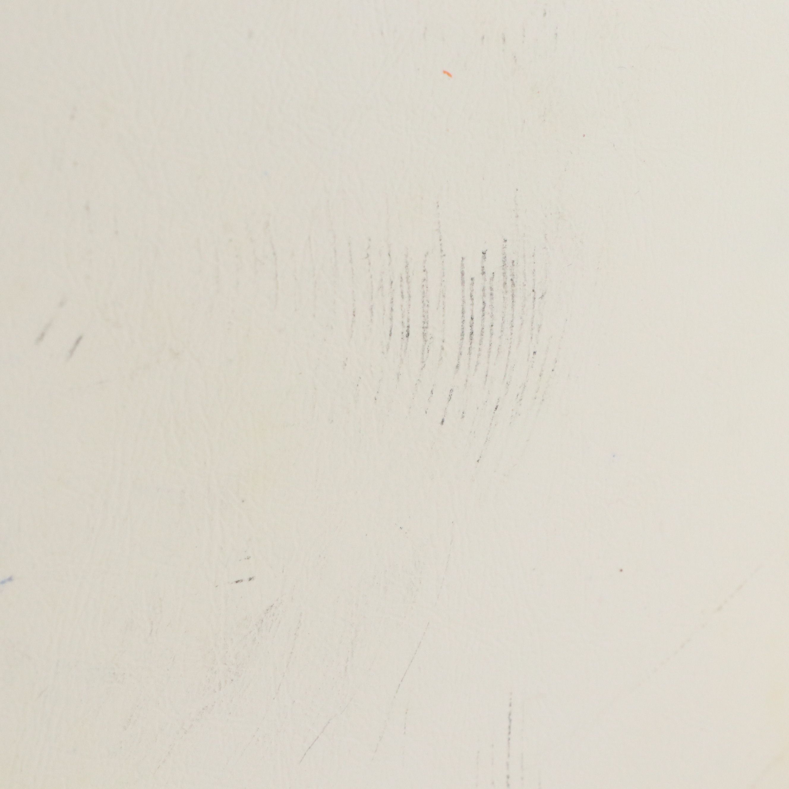 Rhinestone Tiara with Faux Leather Travel Case