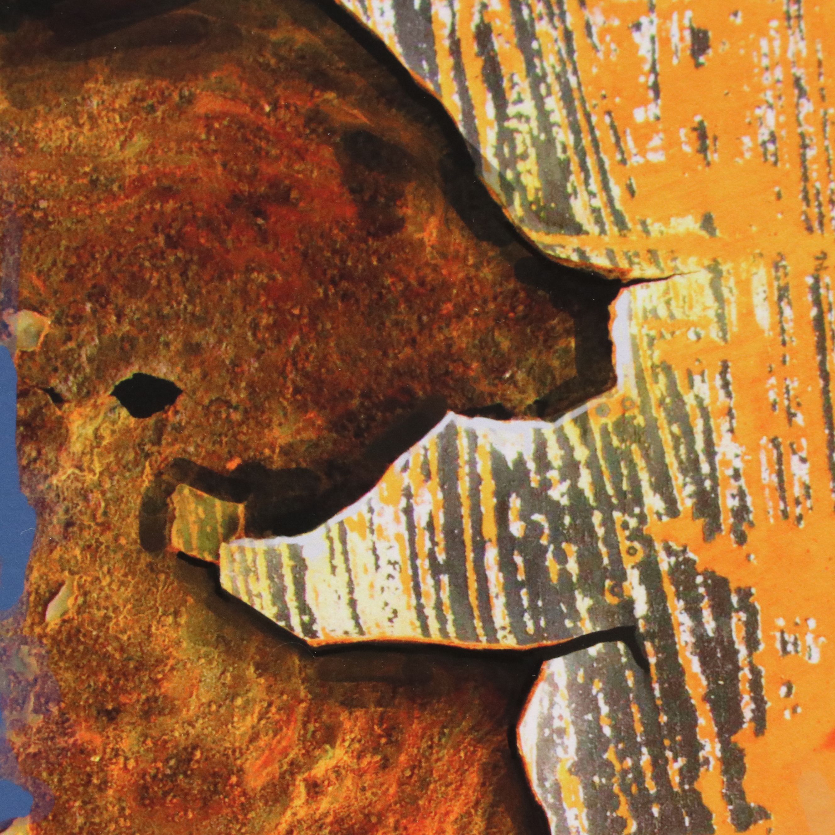 Abiola Idowu Digital Prints "I am a Champion" and "See Through," 2019