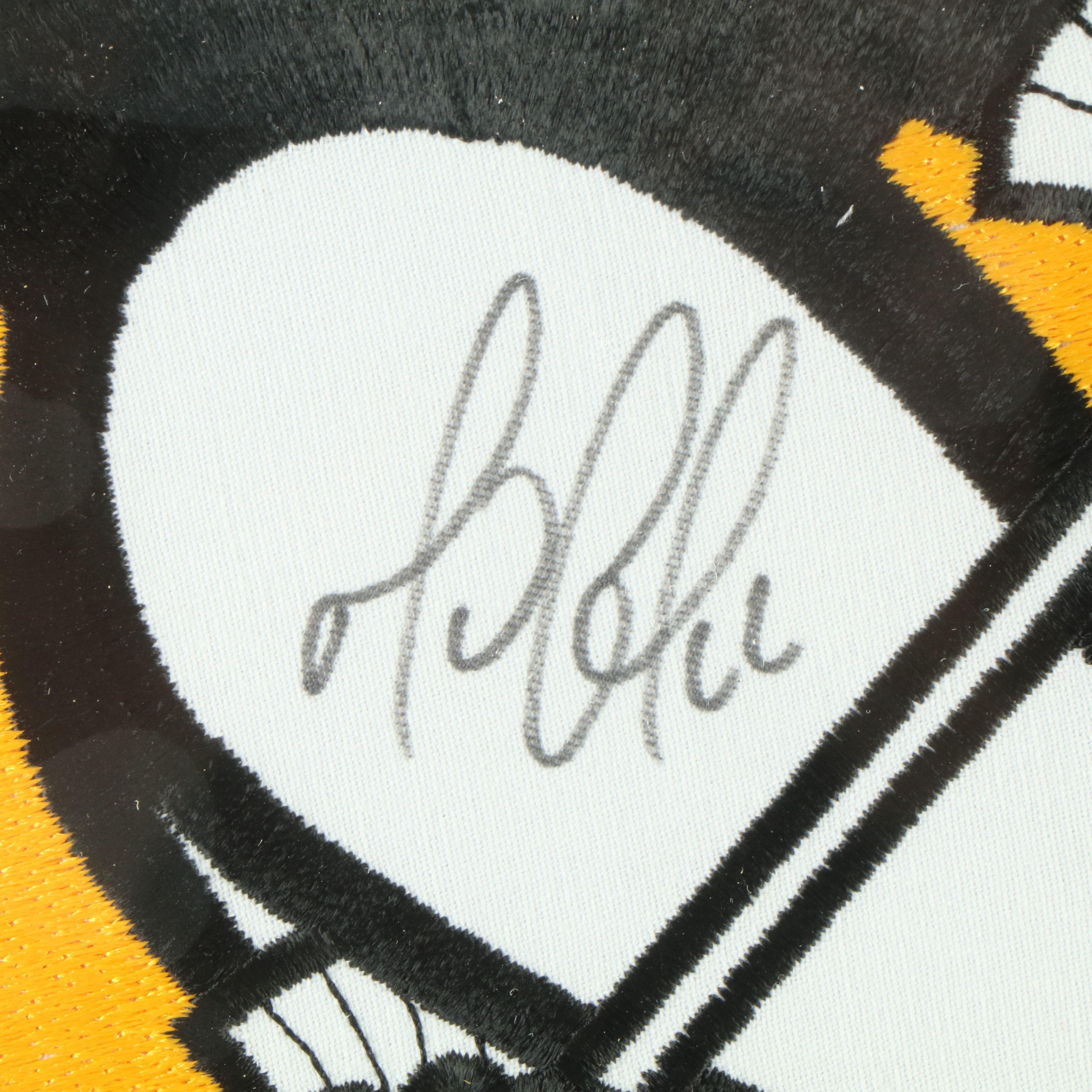 Mario Lemieux Signed Pittsburgh Penguins Patch and Ticket Stub with Display