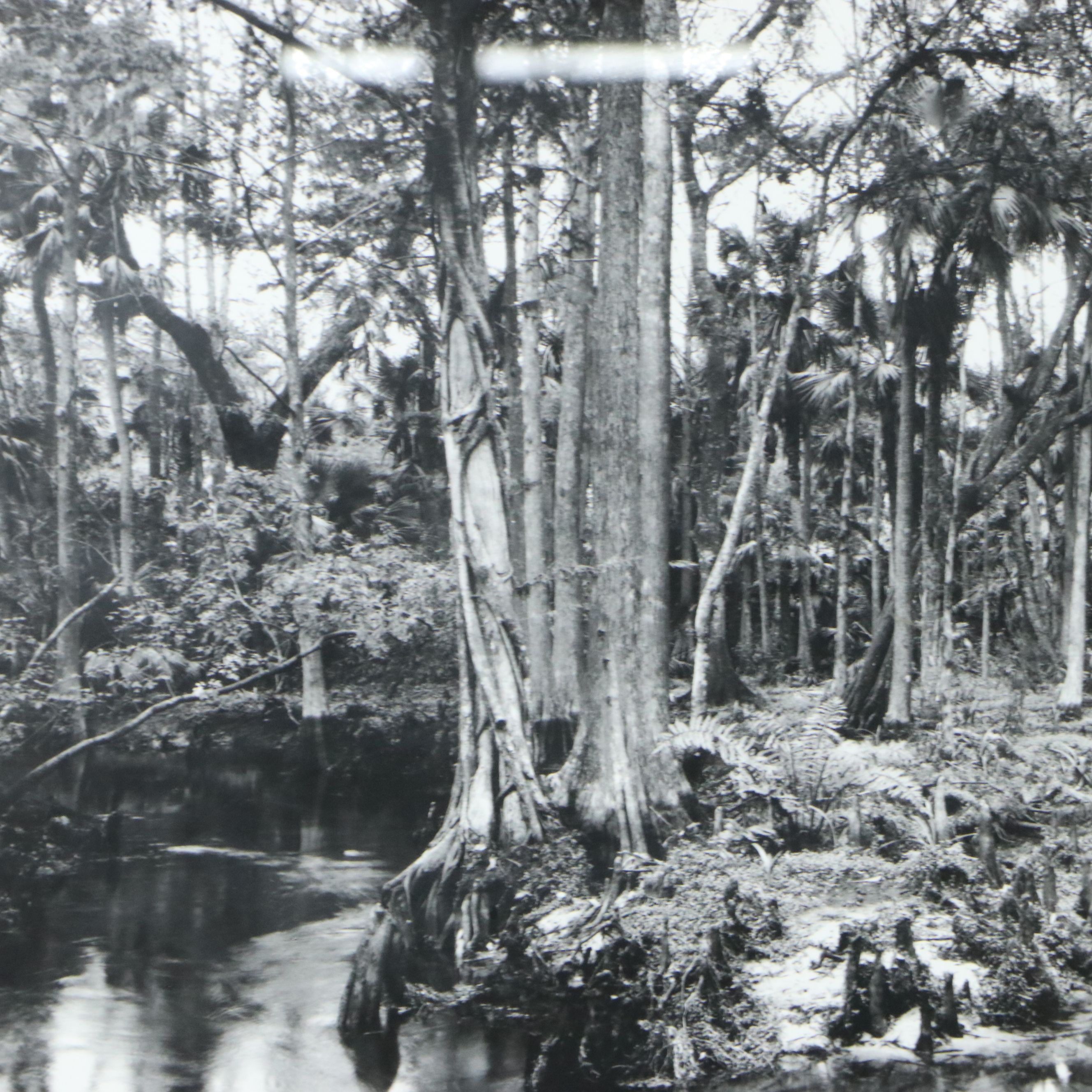 Clyde Butcher Offset Lithograph "Loxahatchee River #9," 1991