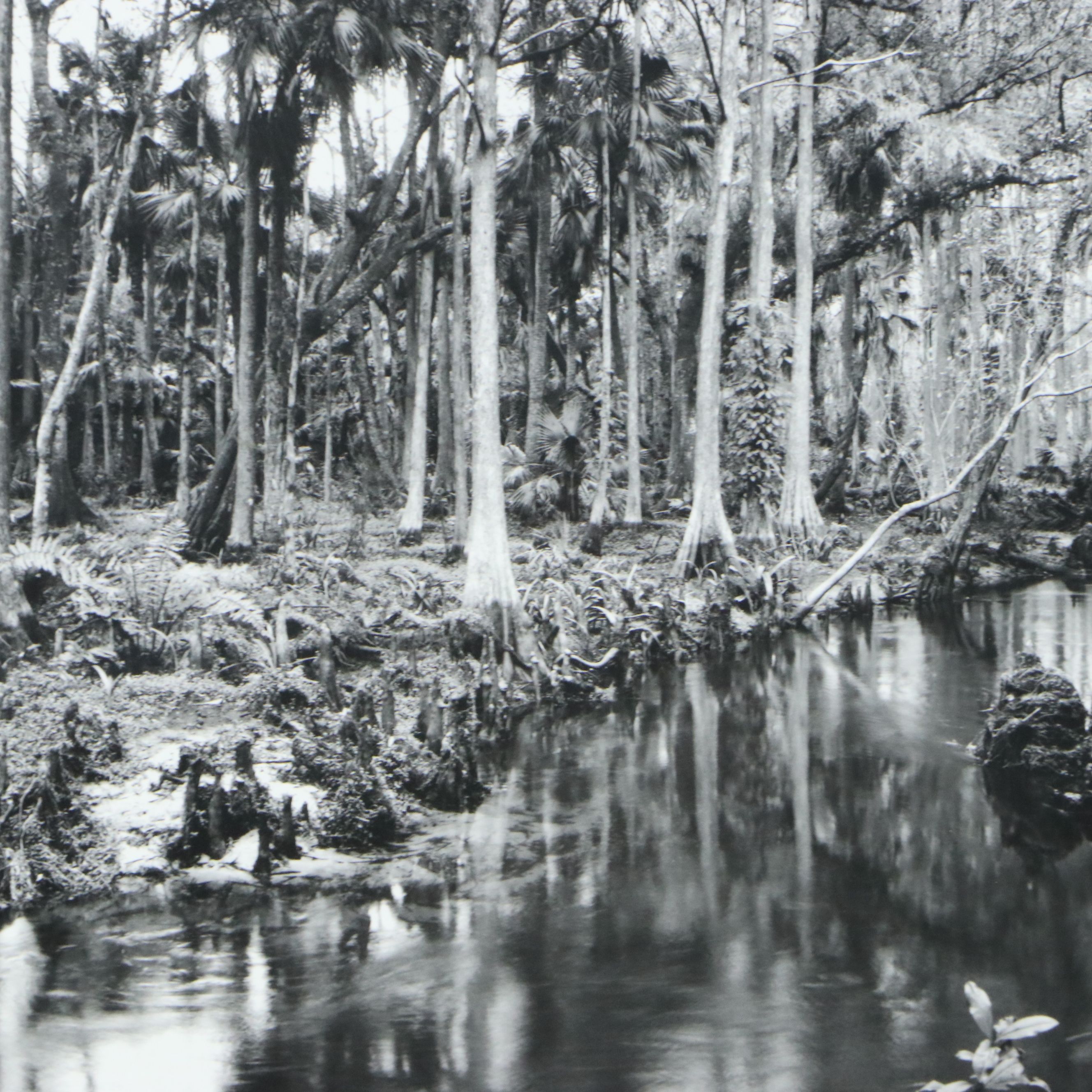 Clyde Butcher Offset Lithograph "Loxahatchee River #9," 1991