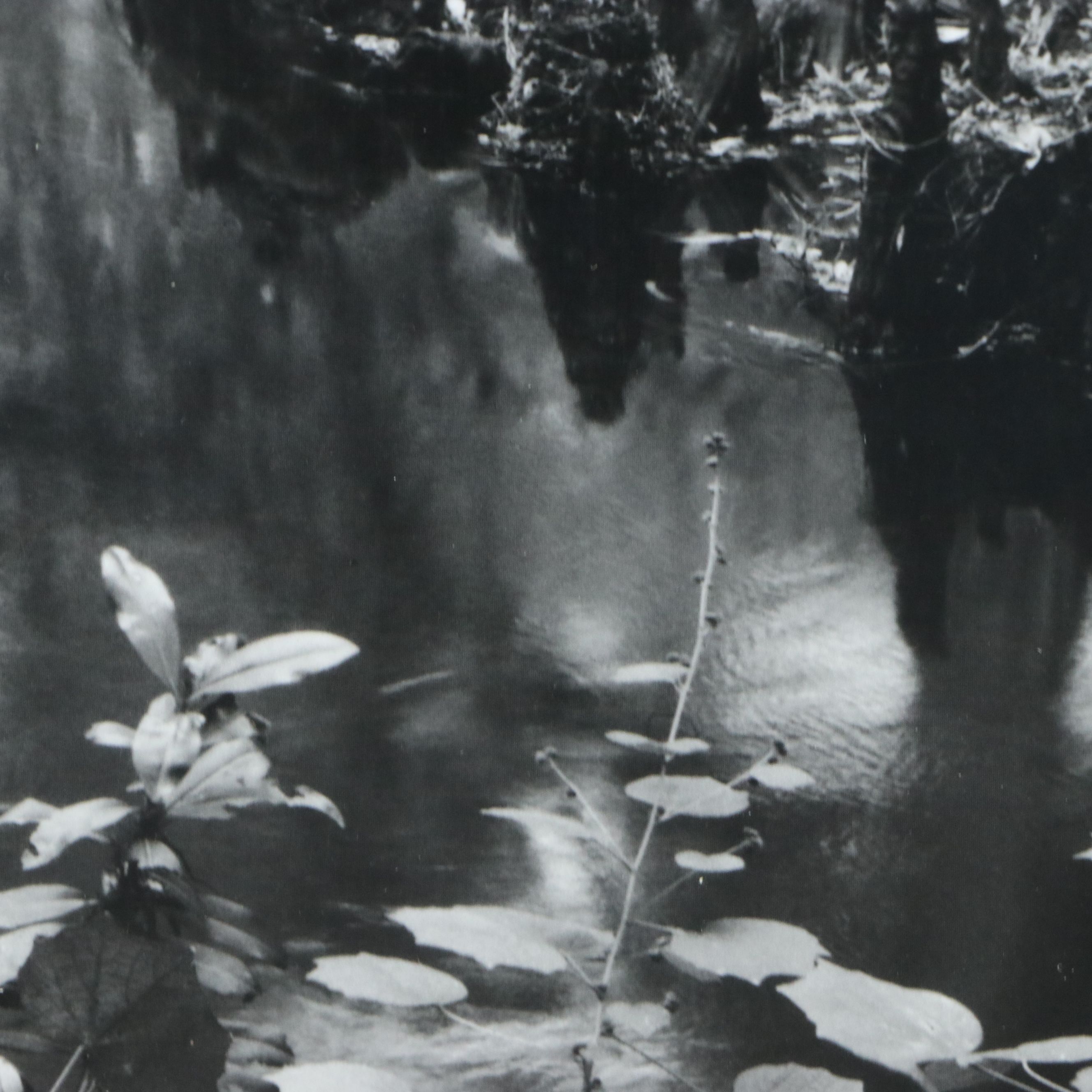 Clyde Butcher Offset Lithograph "Loxahatchee River #9," 1991