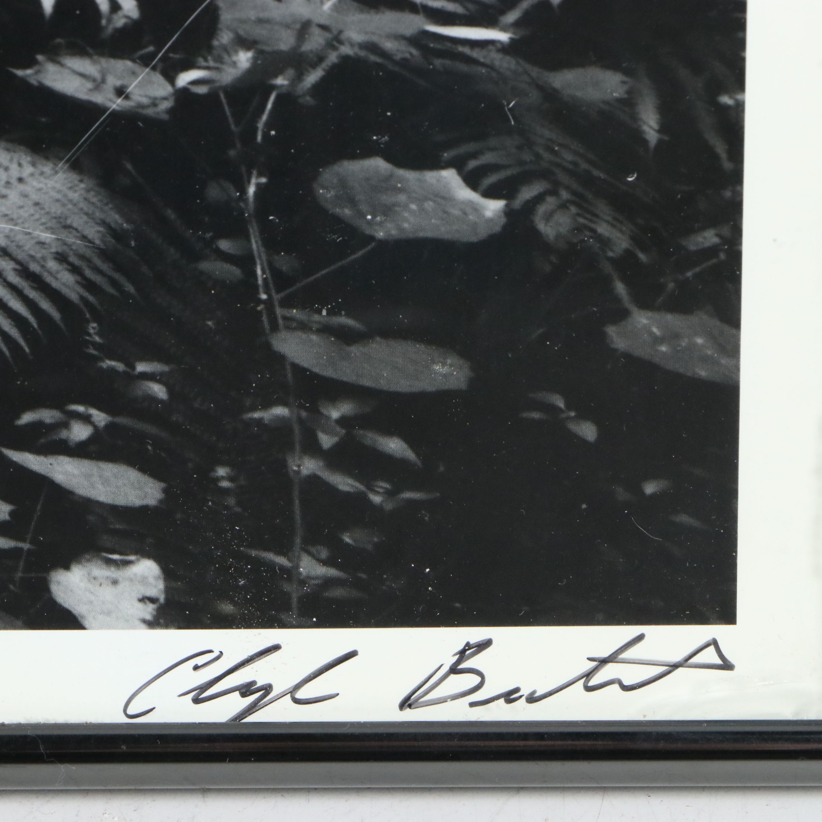 Clyde Butcher Offset Lithograph "Loxahatchee River #9," 1991