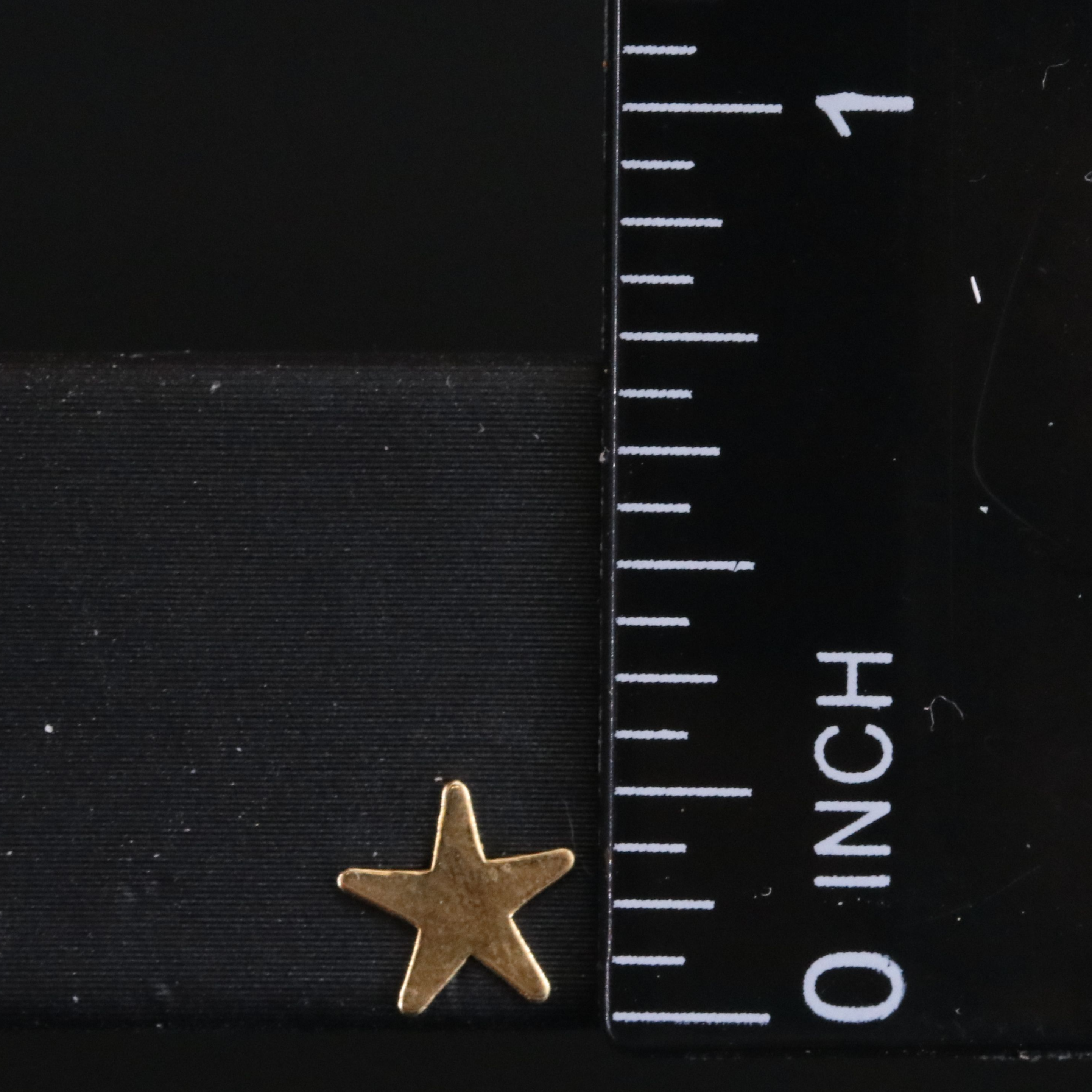 14K Star Stud Earrings