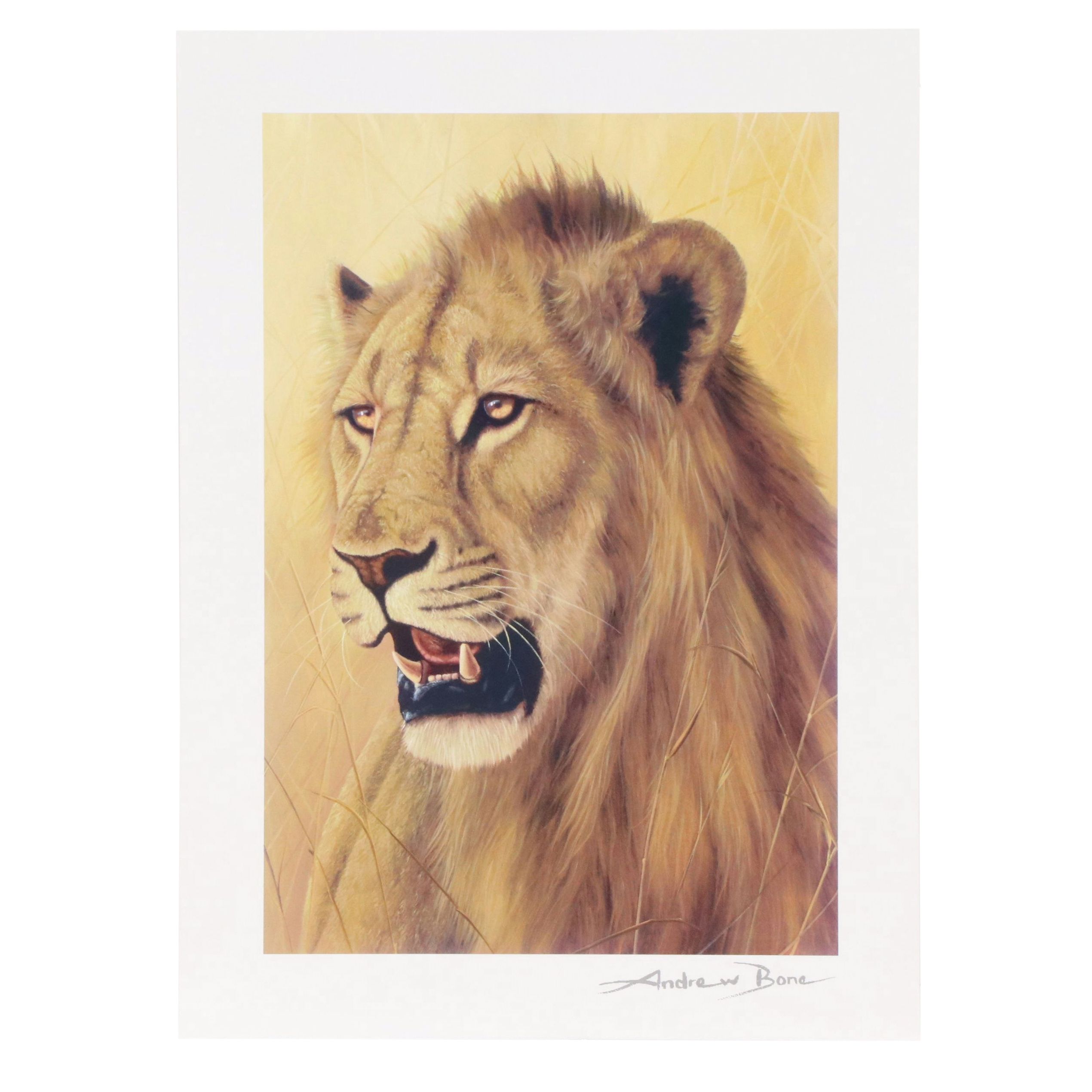 Andrew Bone, Marko Mavrovich, and Csaba Markus Seriolithographs