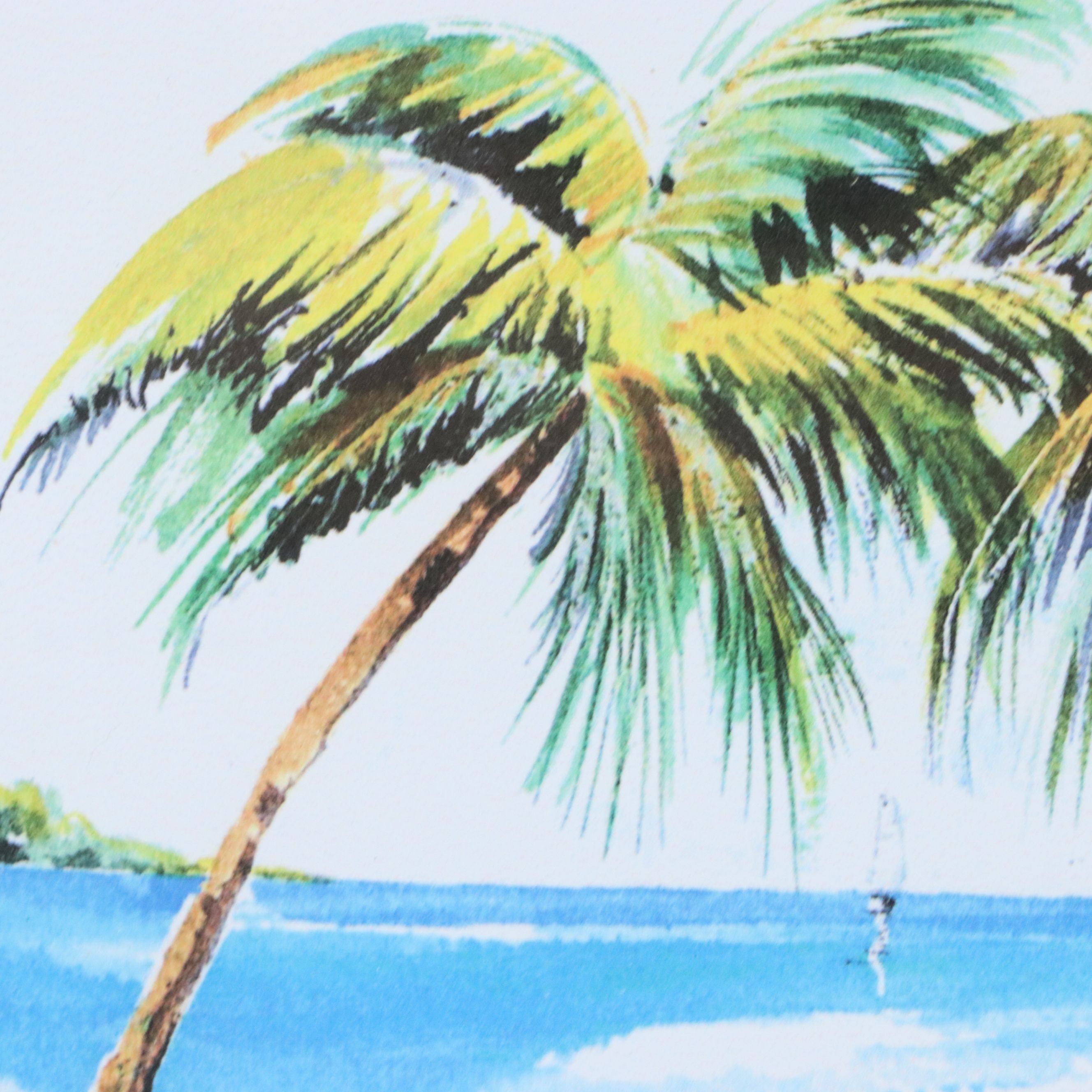 Pair of Mouche Bouvrais Tropical Landscape Giclées of St. Martin, 21st Century