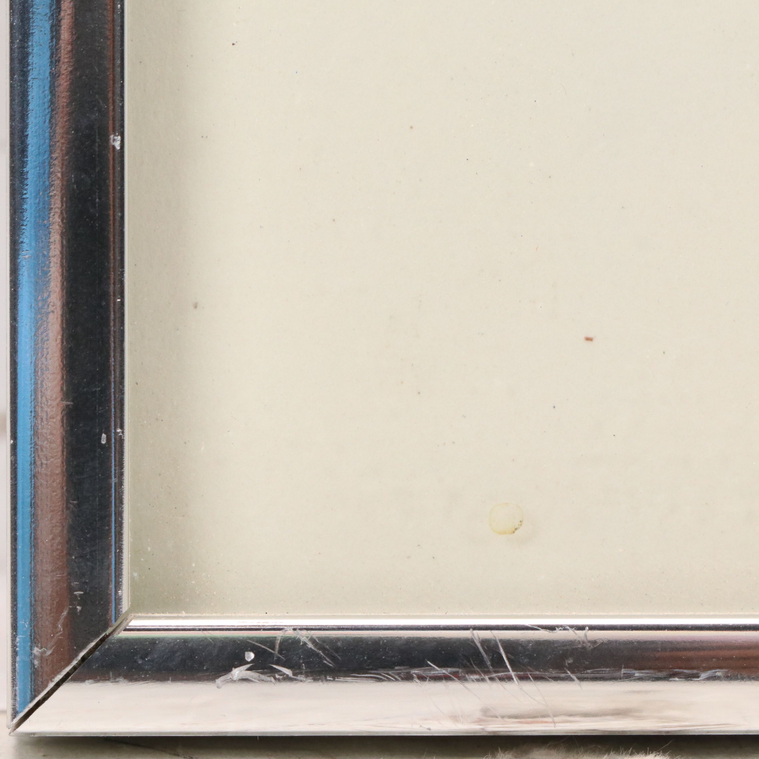 Joy Shott Watercolor Painting "Chicory"