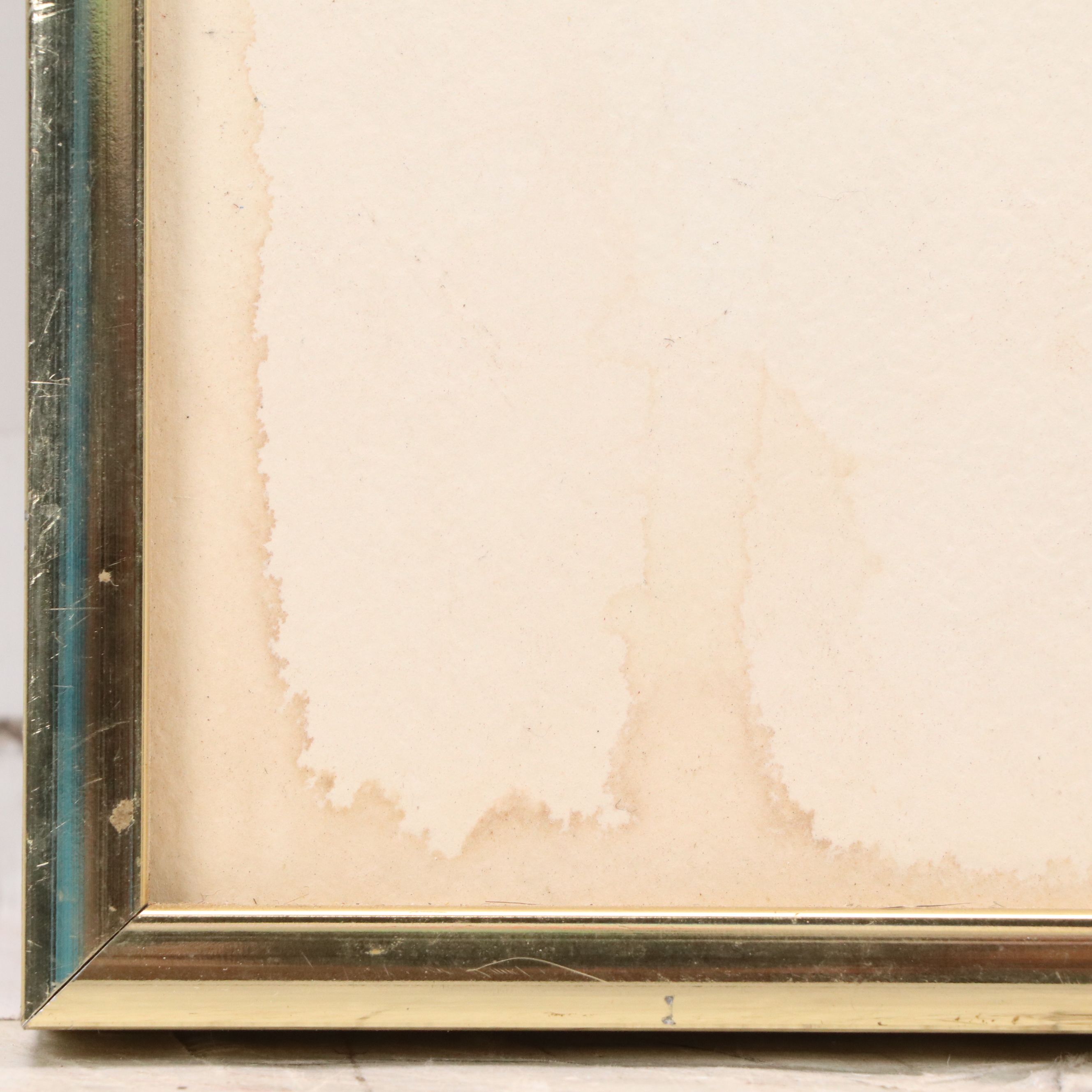 Joy Shott Watercolor Painting "Landscape with Iris & Poppies"