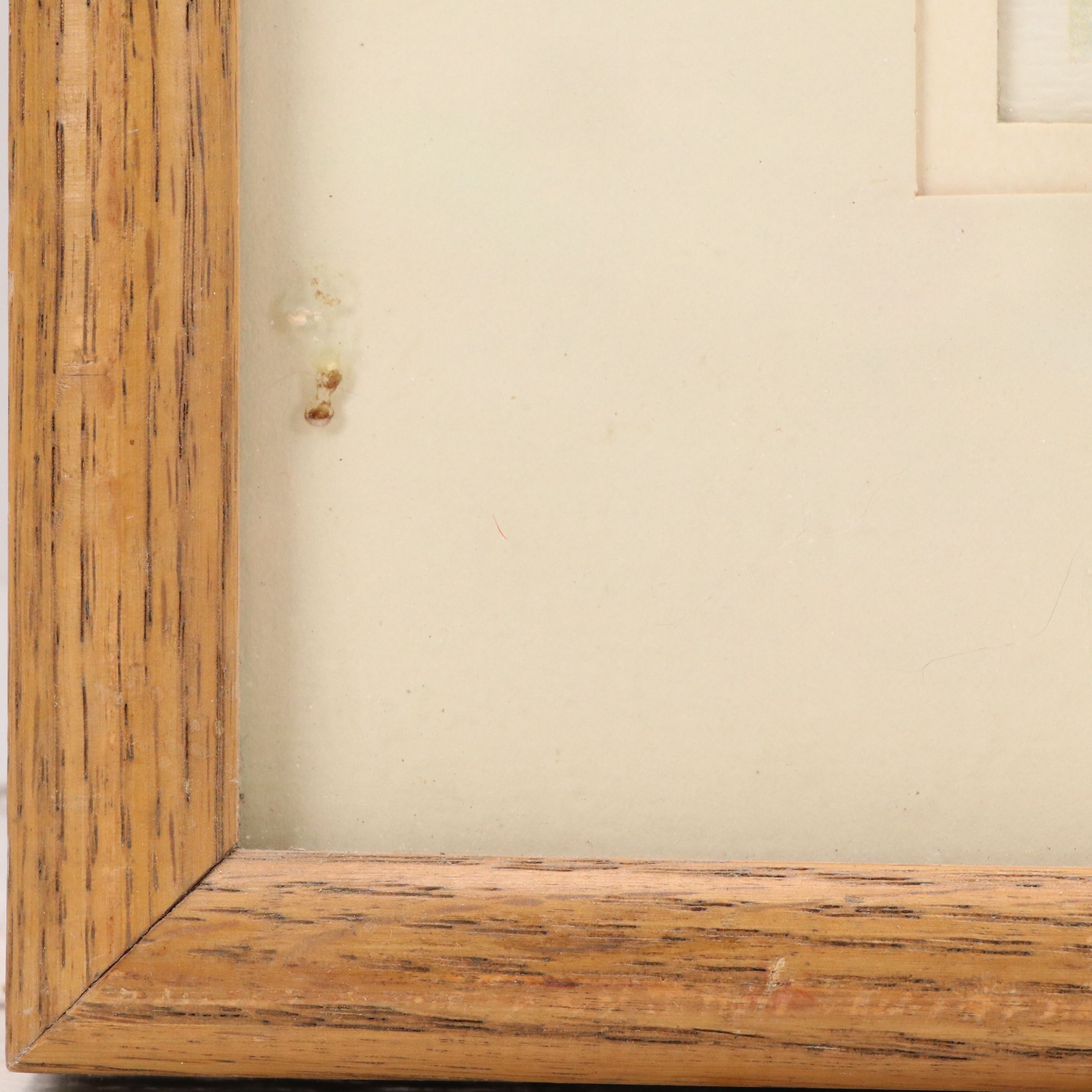 After Vern Yadon Offset Lithograph "Goldfinches"