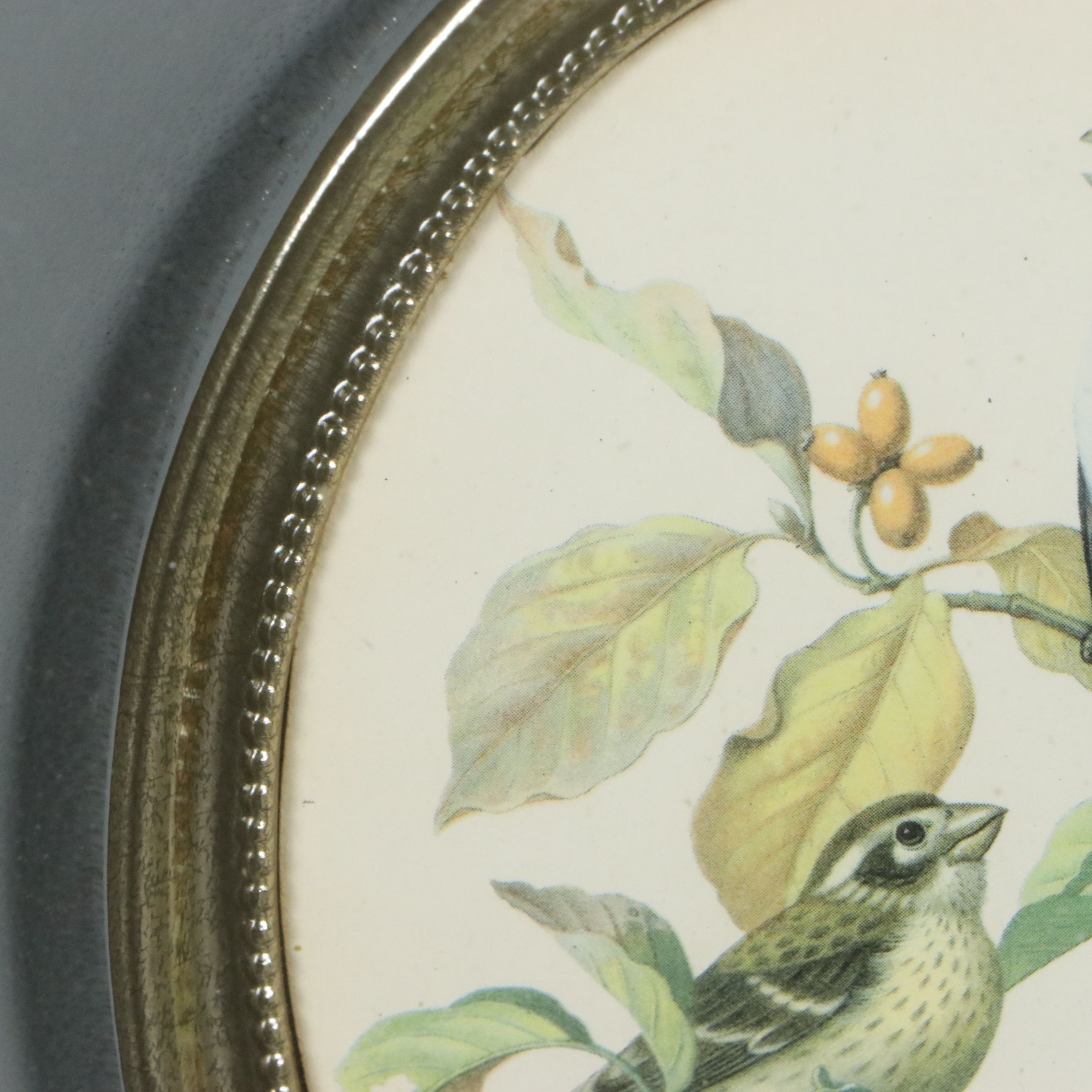 After Rudolph Freund Offset Lithograph "Rose-breasted Grosbeak on Fall Dogwood"