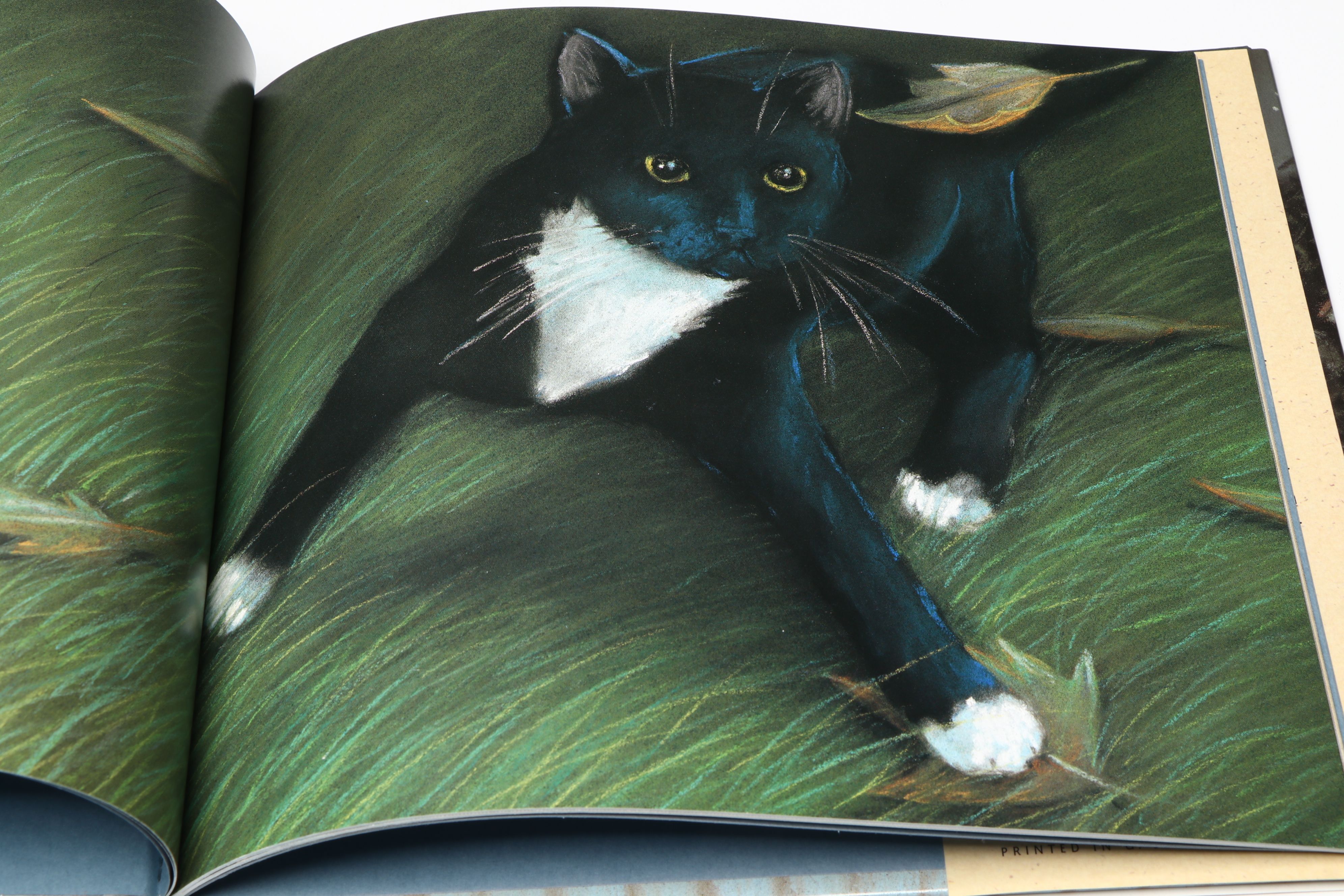 Sally Derby Signed "Taiko on a Windy Night" with More Children's Picture Books