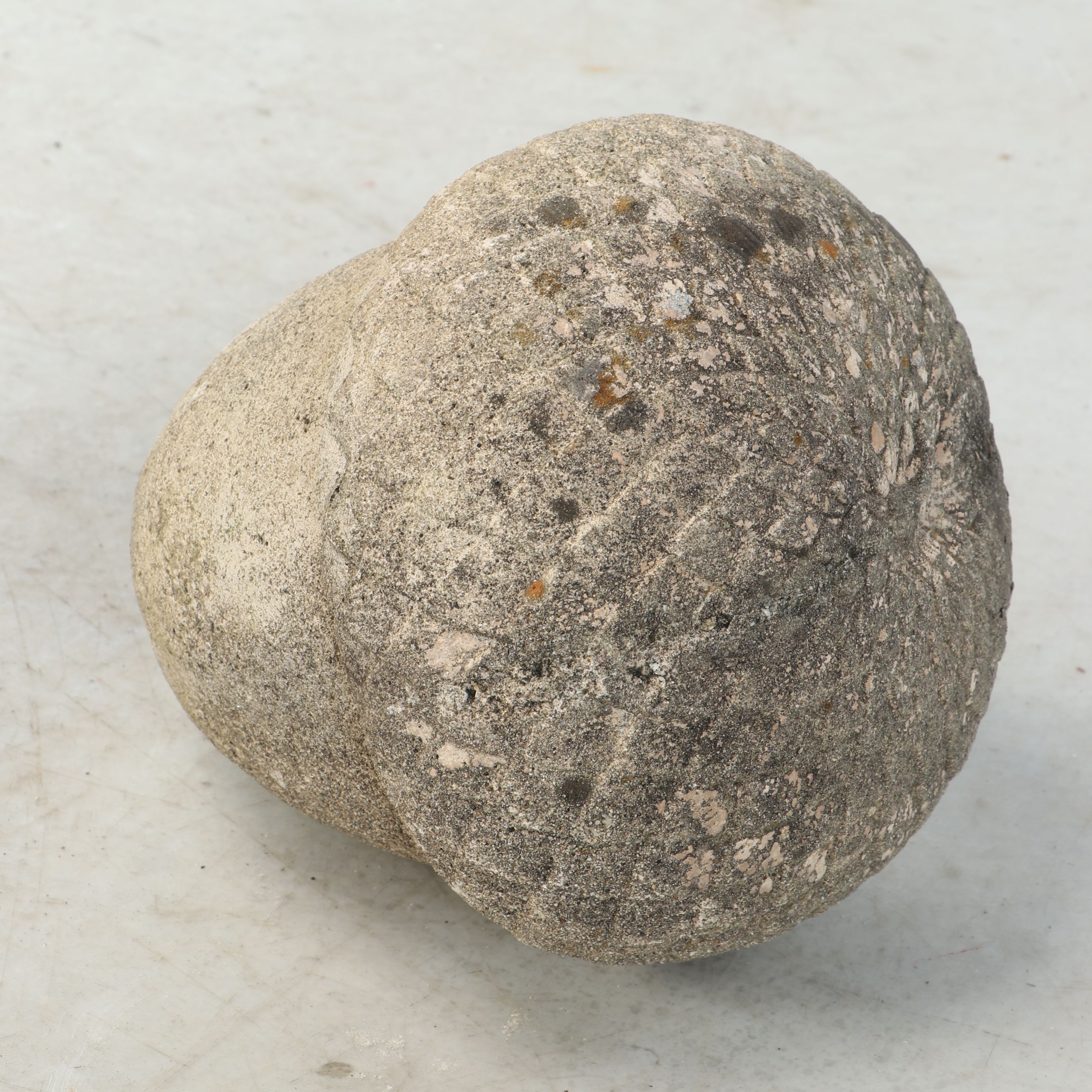 Concrete Lion and Acorn Garden Sculptures