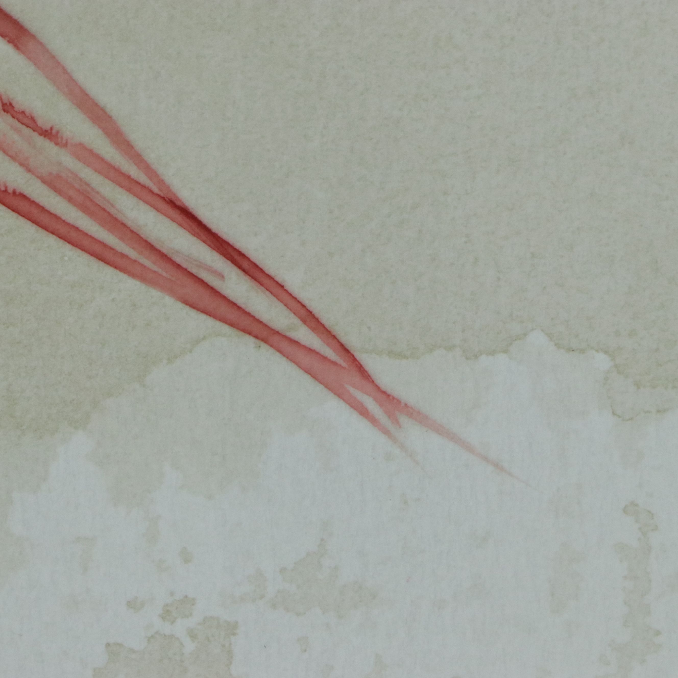 Giclées of Watercolor Fishing Lure Illustrations, 21st Century