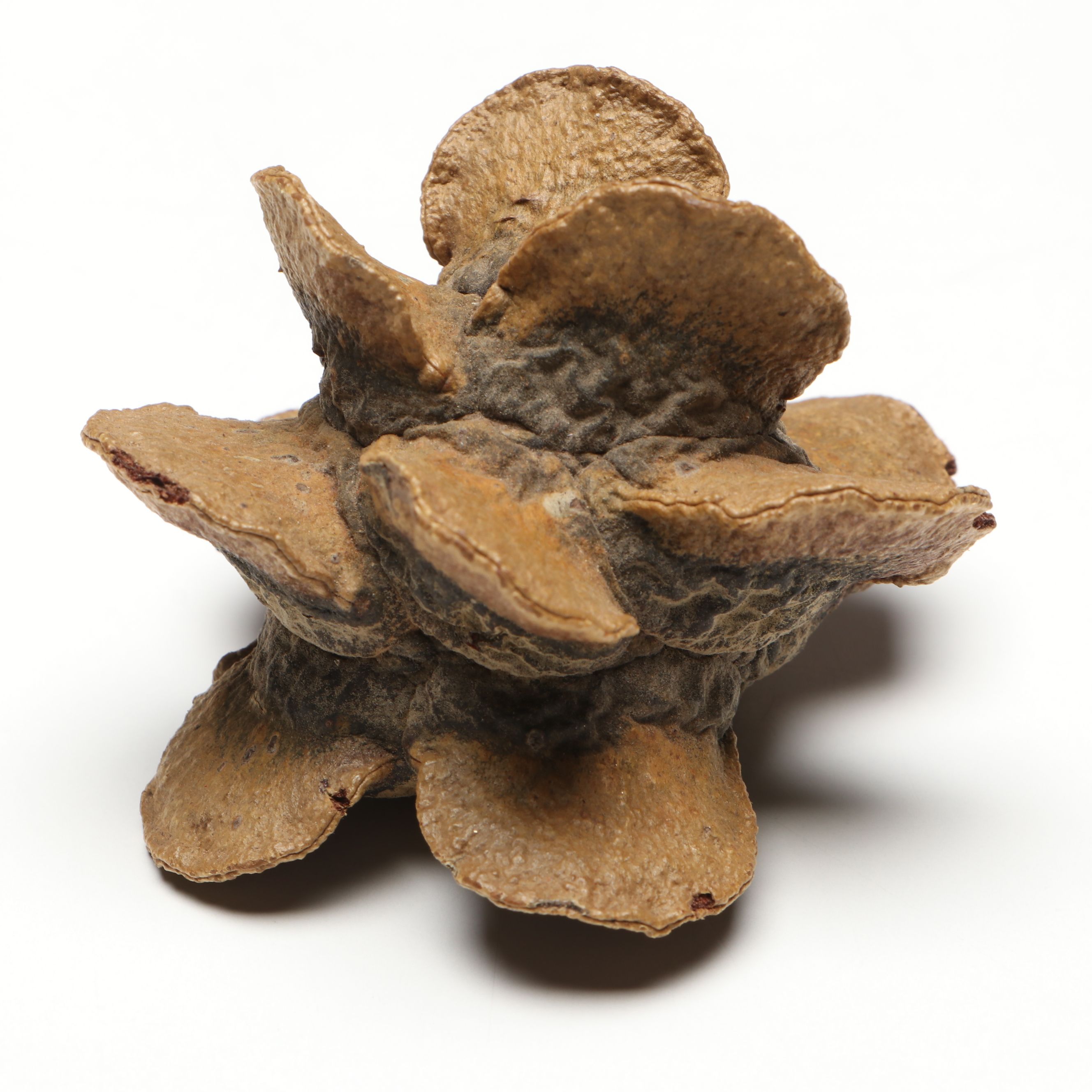 Tognana Picasso Porcelain Bottle with Greek Utensil Holder and Acorn Pom-Poms