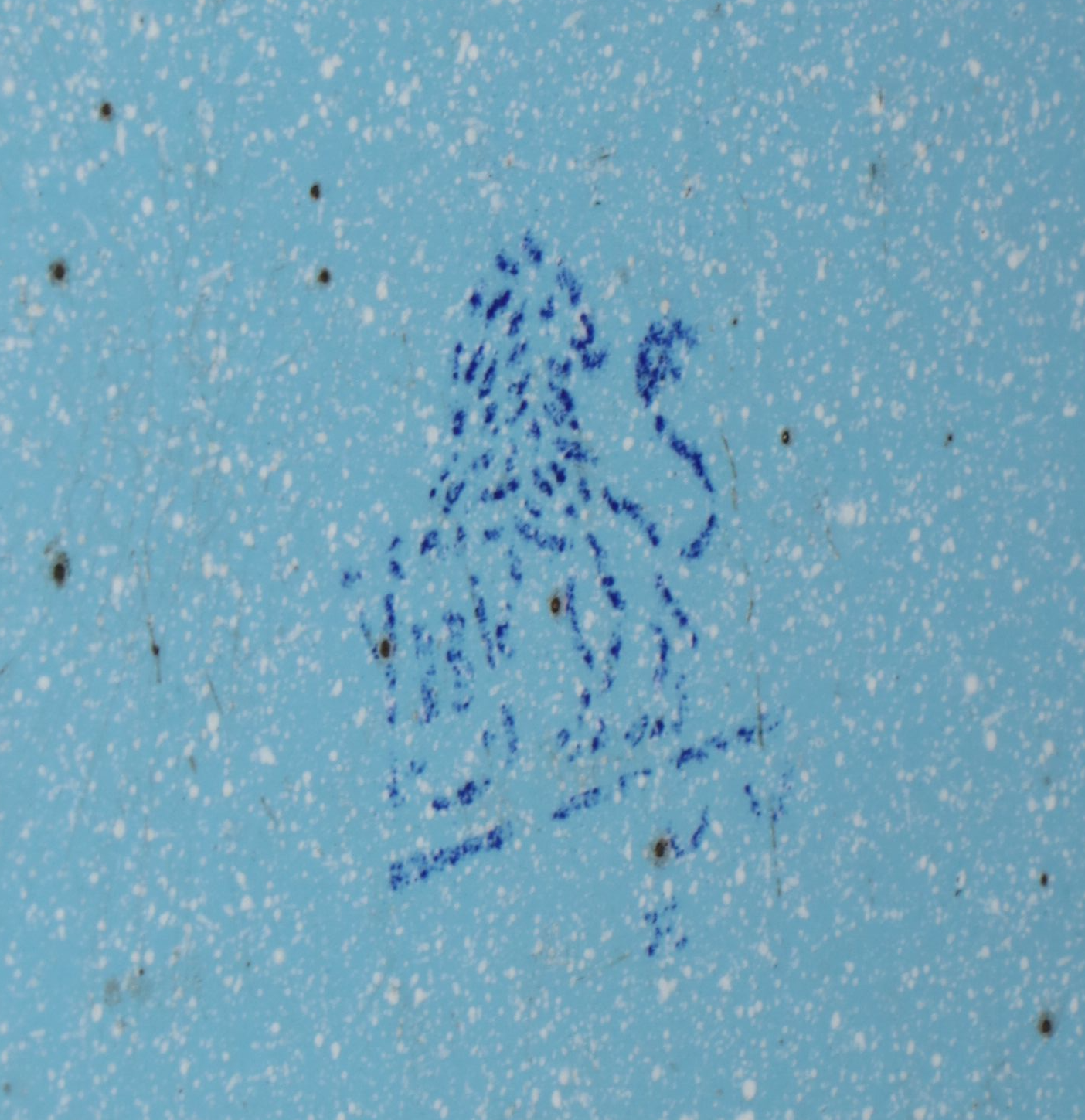 Ema-Lion Speckled Baker with Other Enamelware Pans, 20th Century