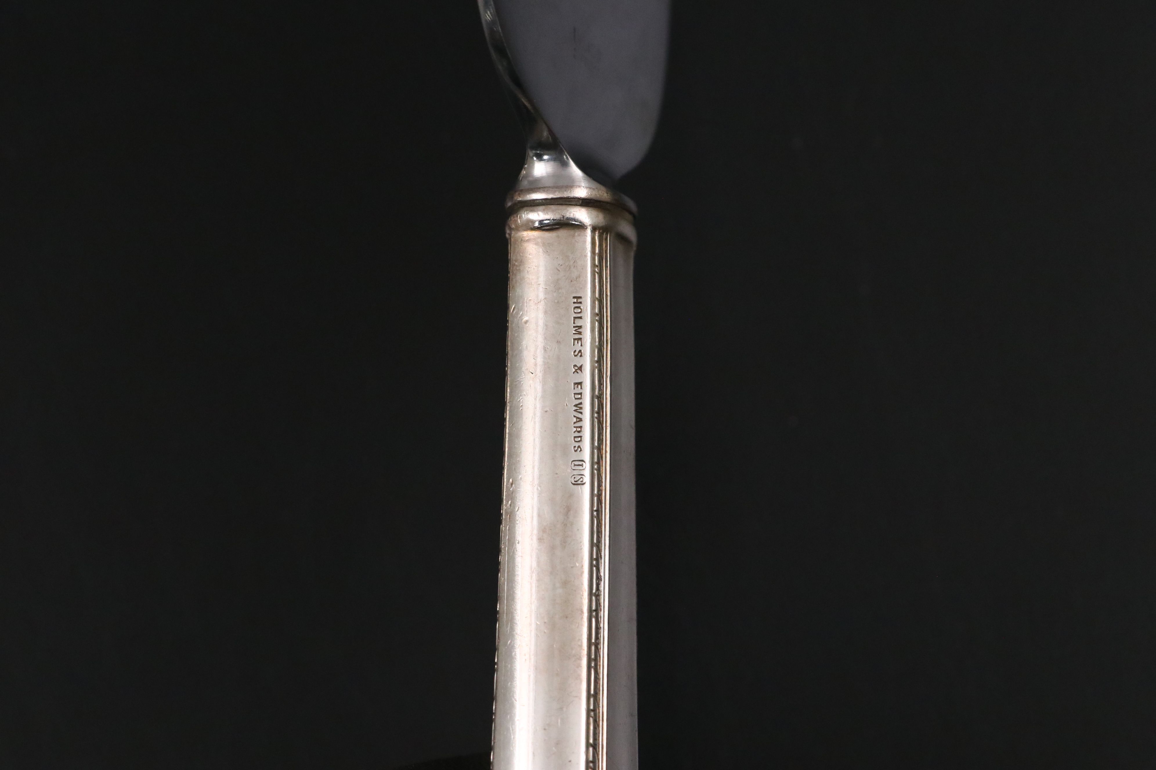 Royal Holland Daalderop and Other Pewter Rim Tray with Silver Plate Utensils