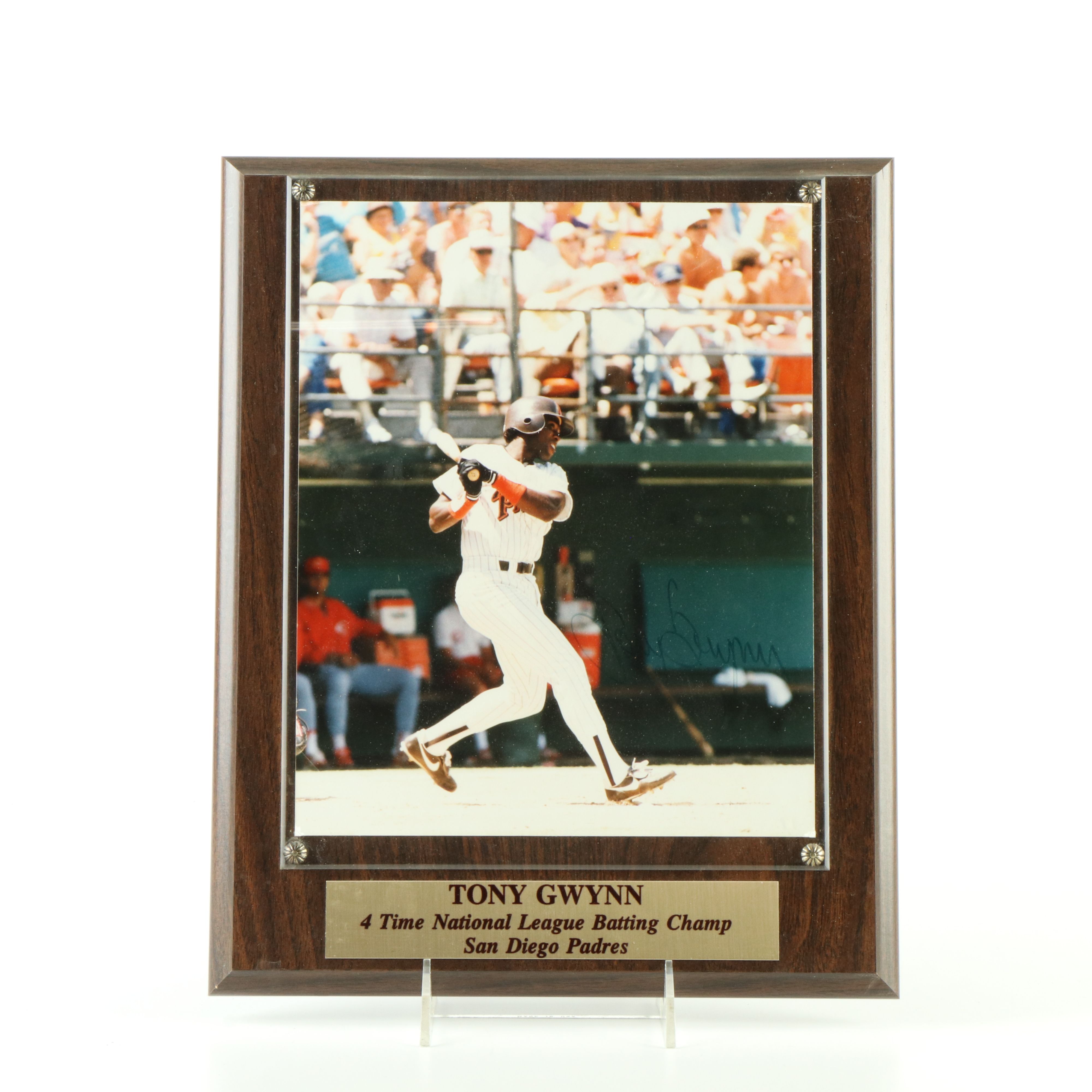 Carlton Fisk, Tony Gwynn, and Willie Stargell Signed Baseball Displays