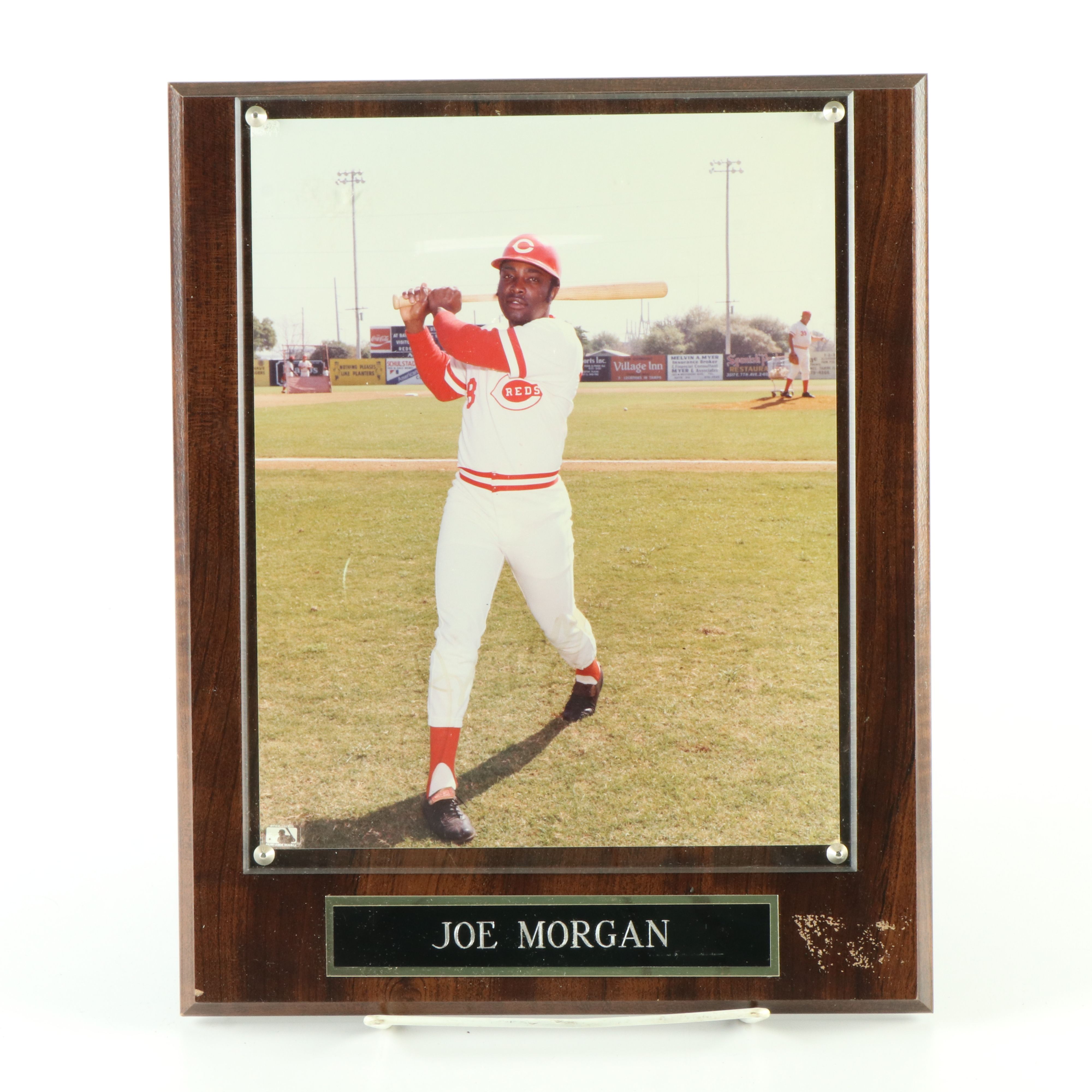 Joe Morgan, Johnny Bench, and More Signed Cincinnati Reds Displays