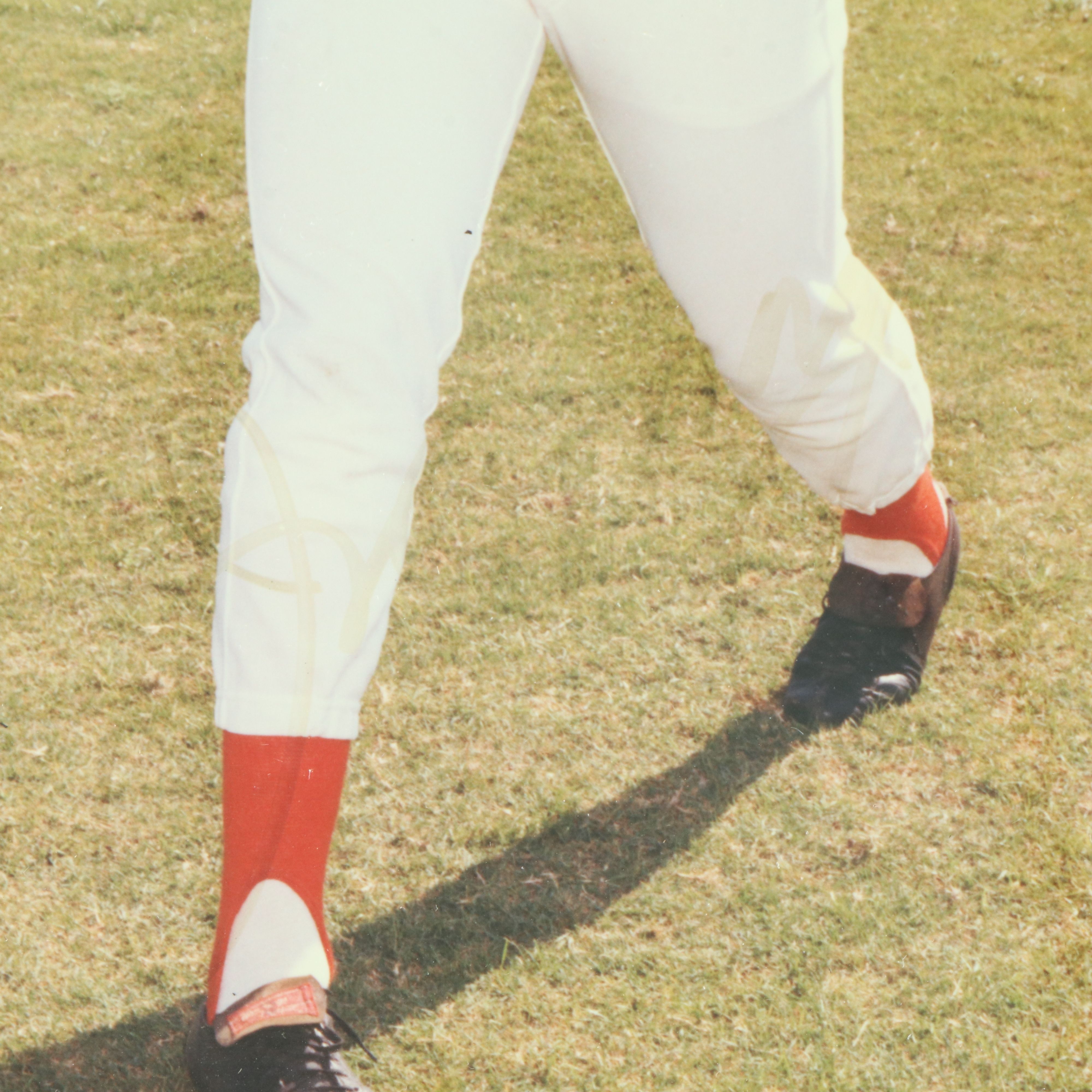 Joe Morgan, Johnny Bench, and More Signed Cincinnati Reds Displays