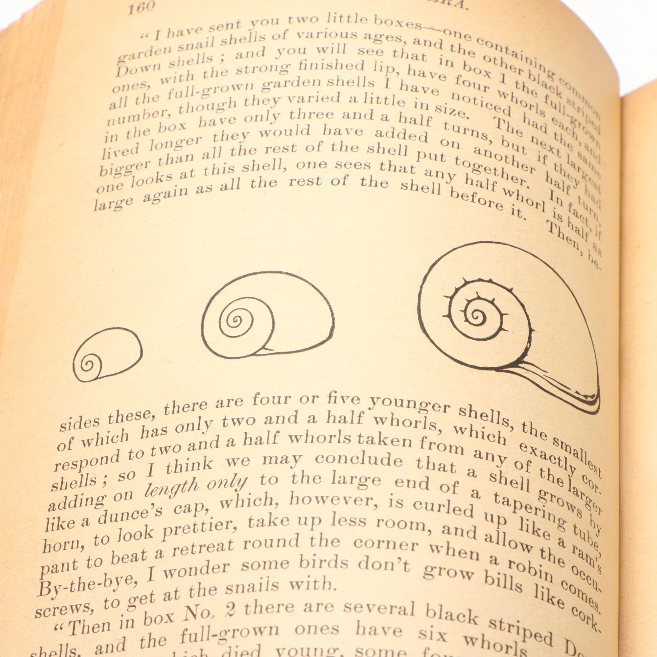 Leather Bound "The Works of John Ruskin" Partial Set, Early 20th Century