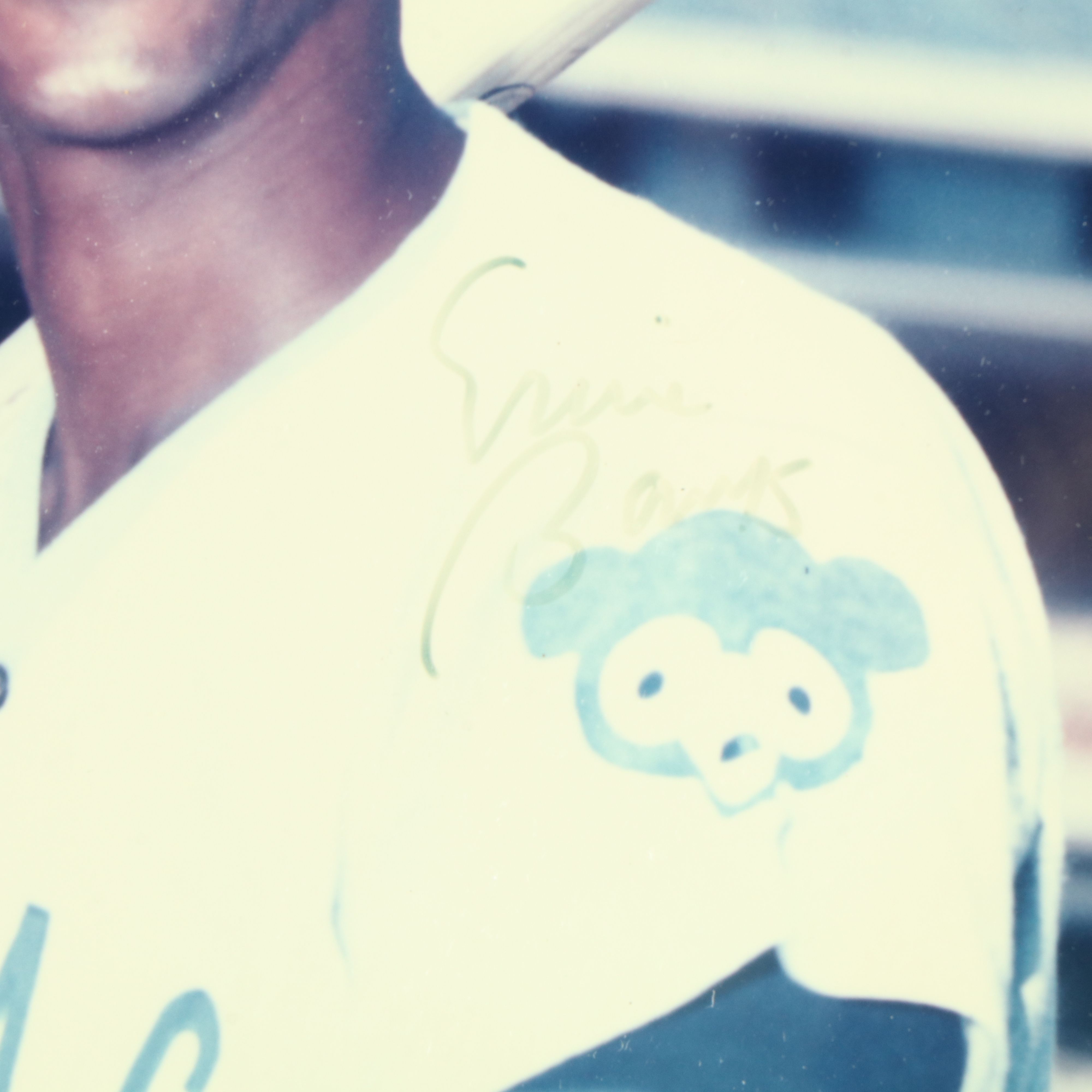 Pete Rose, Nolan Ryan. Ernie Banks, and Ralph Kiner Signed Baseball Displays