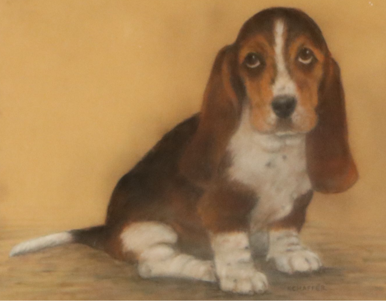 Signed Oil Pastel Drawing of a Basset Hound, Mid to Late 20th Century
