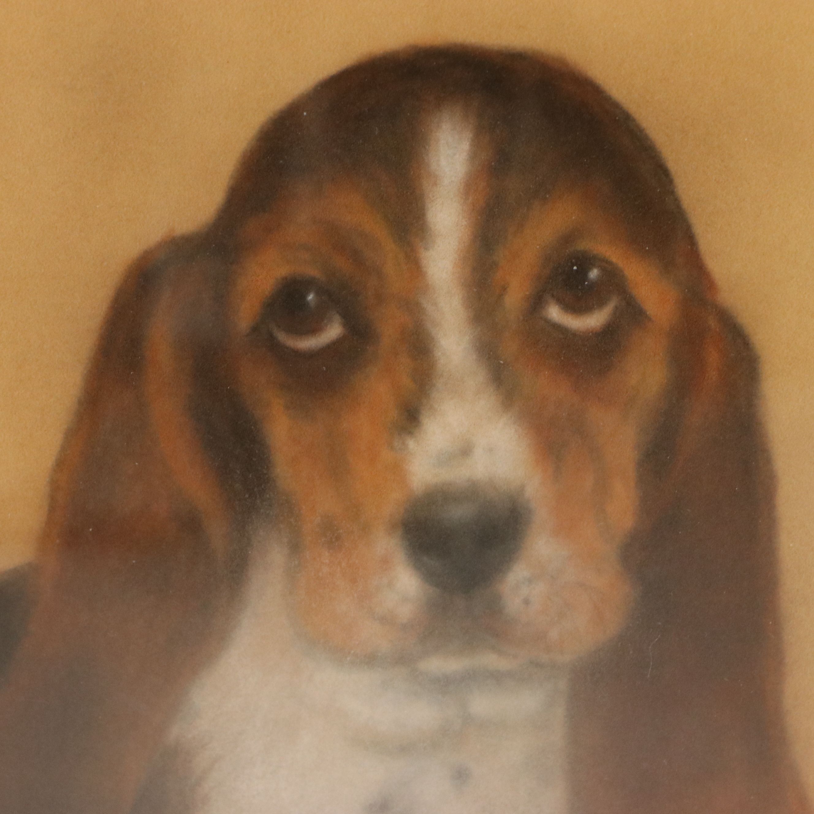 Signed Oil Pastel Drawing of a Basset Hound, Mid to Late 20th Century