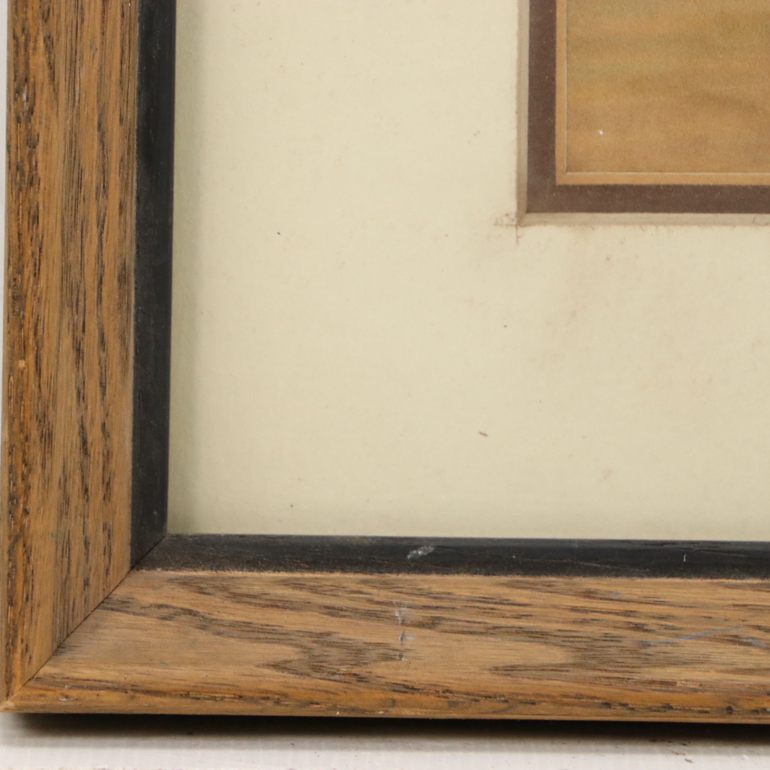 Signed Oil Pastel Drawing of a Basset Hound, Mid to Late 20th Century