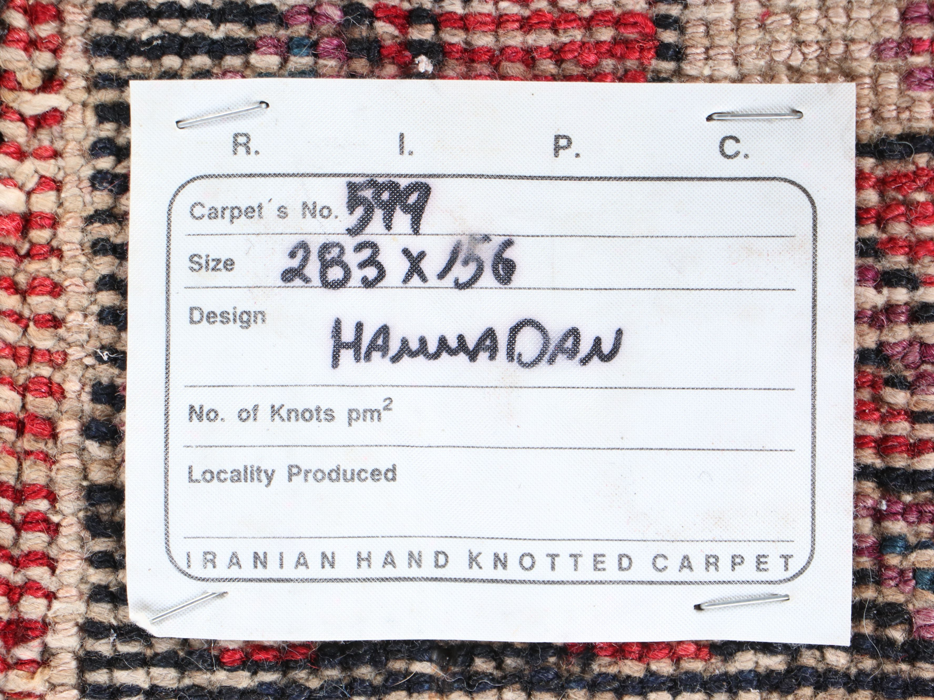 5'2 x 9'3 Hand-Knotted Persian Bakhshayesh Area Rug