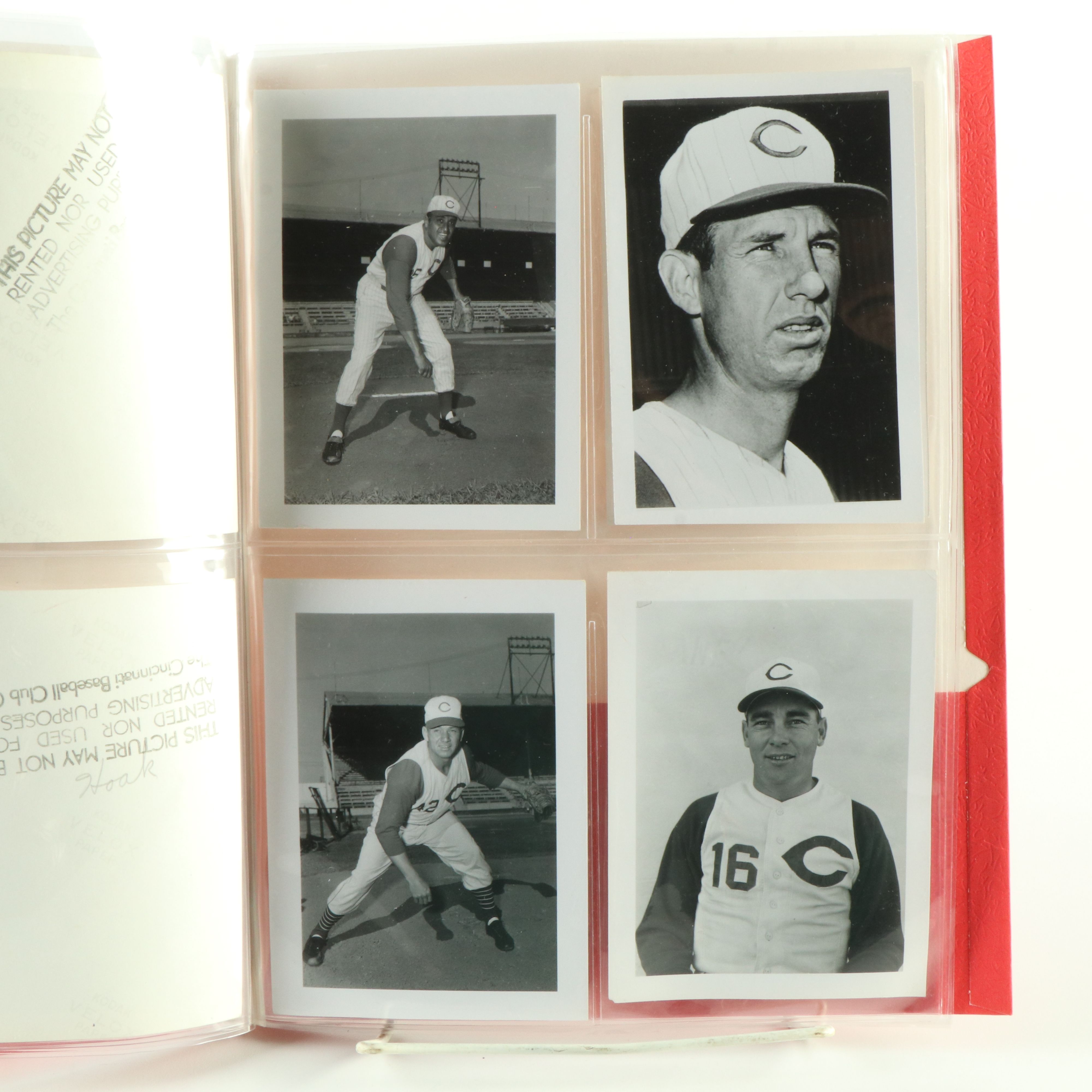 Pete Rose Signed Rawlings Official Baseball & Cincinnati Reds Team Issued Photos