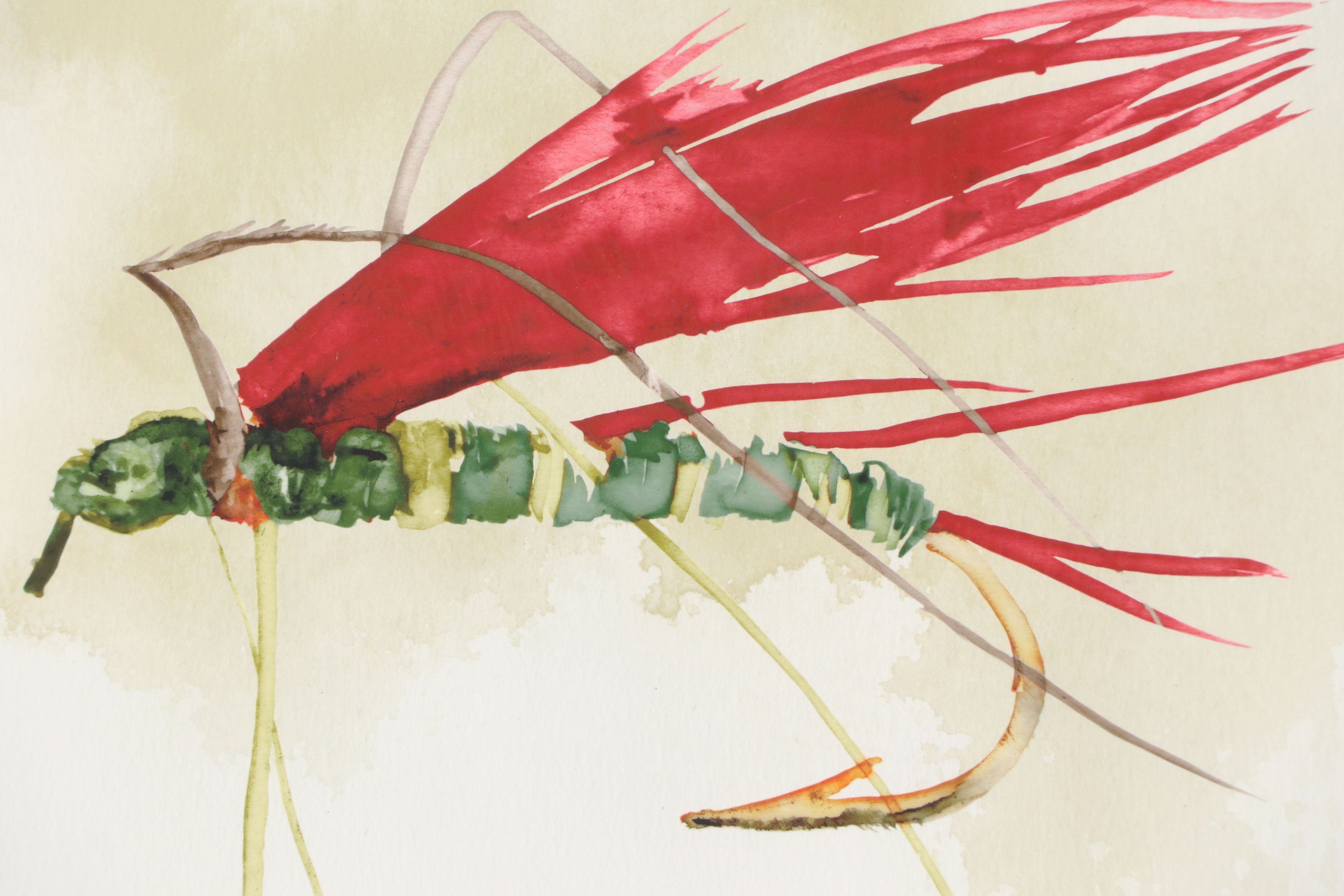 Digital Prints "Fishing Lure Study 2" and "Fishing Lure Study 3", 21st Century